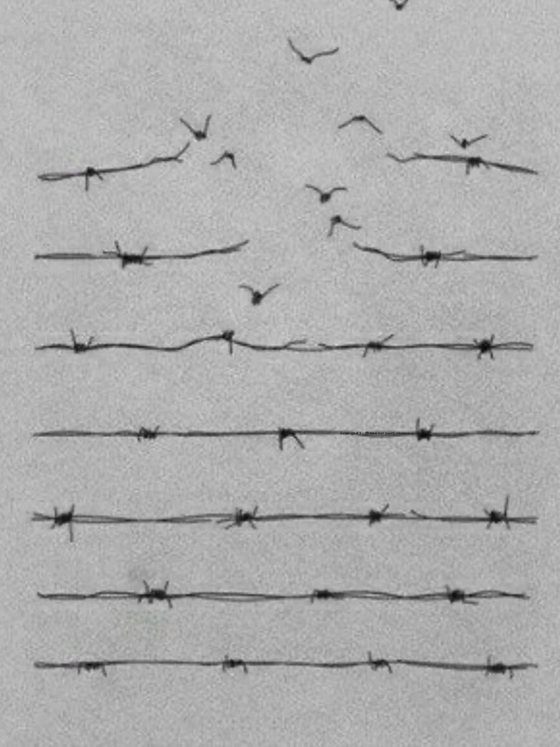 Step beyond the constraints of time consuming tasks and reclaim control of your day.

Embrace the freedom to lead, create, and expand while the details are managed behind the scenes.

⭐️🤍

#AUX #AUXVAStudio #VirtualAssistance #virtualassistant #comm
