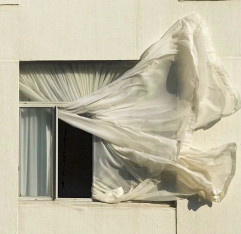 Like the wind that moves unseen yet transforms everything it touches, a virtual assistant works quietly in the background to elevate efficiency, sharpen focus, and drive measurable progress.

Invest in a force that is constant, reliable, and powerful