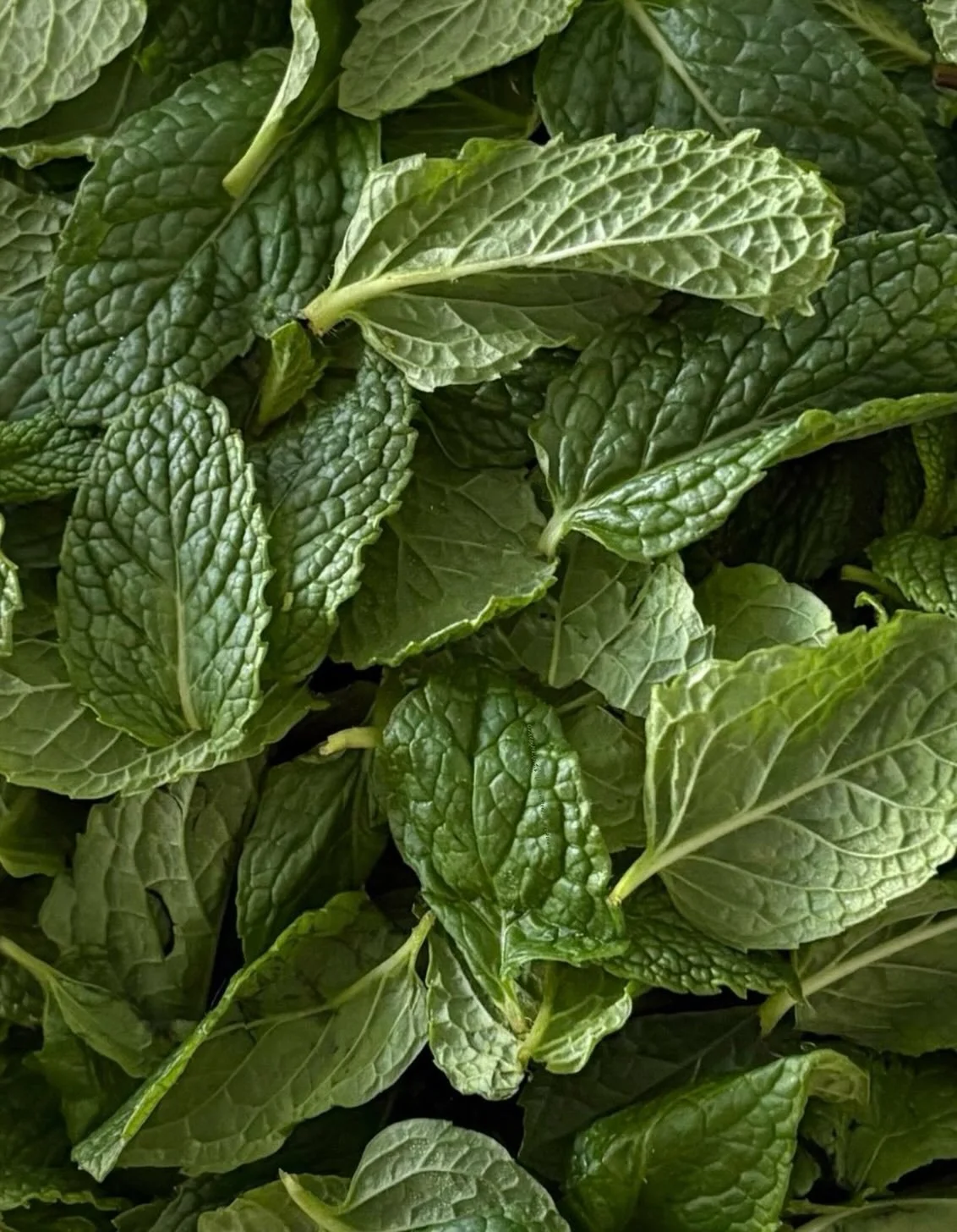 Fresh ideas deserve fresh support.

Empower your business with a Virtual Assistant who brings efficiency, precision, and consistency to every task, freeing you to focus on growth, strategy, and opportunity.

⭐️🤍

#AUX #AUXVAStudio #VirtualAssistance