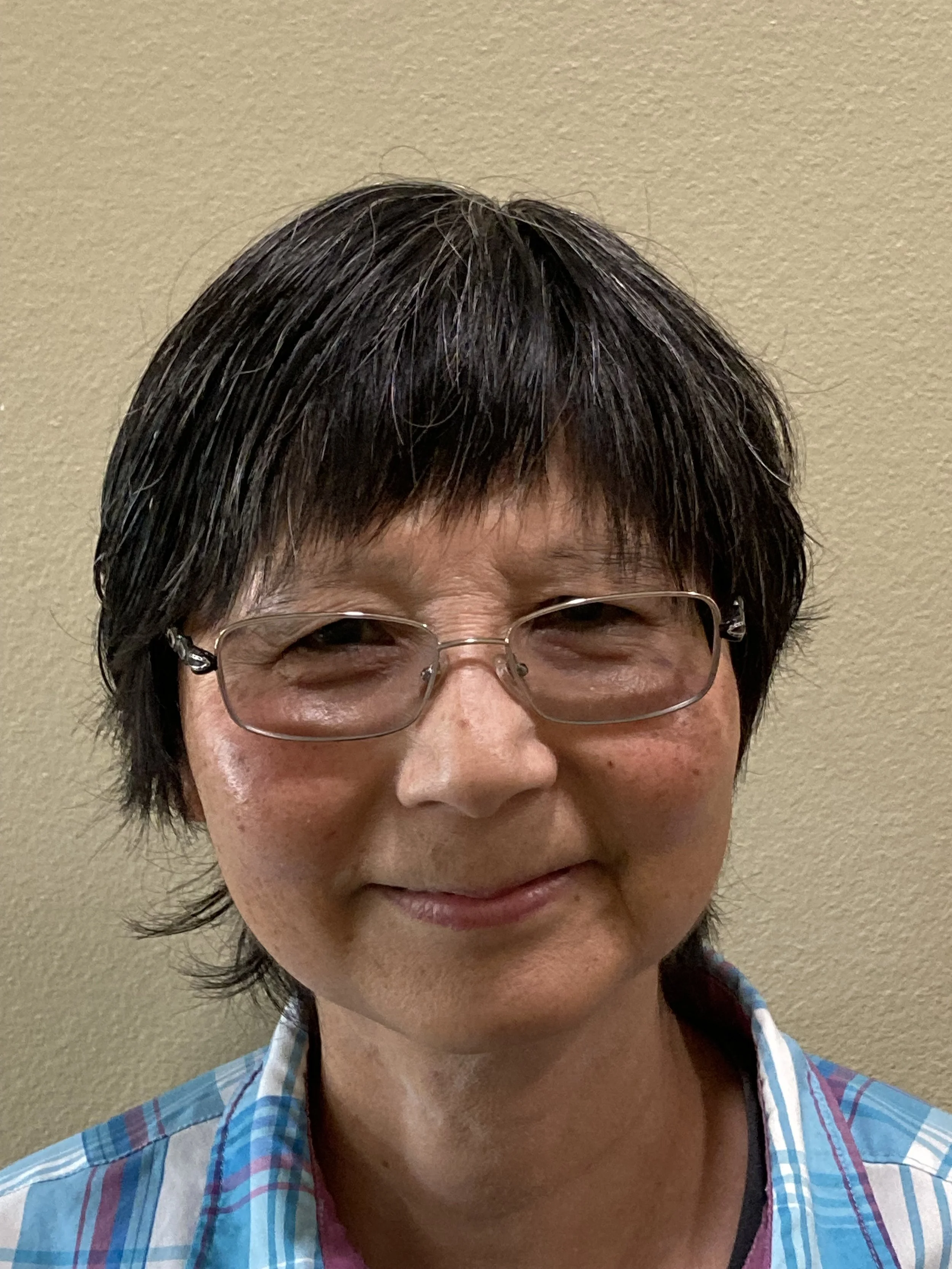 susan giovengo