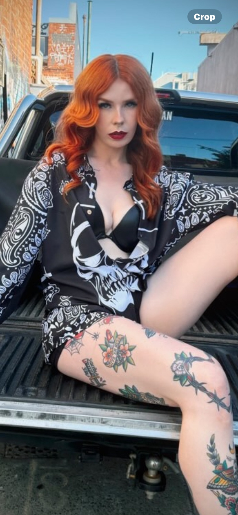 (LIMITED) bandit shirt