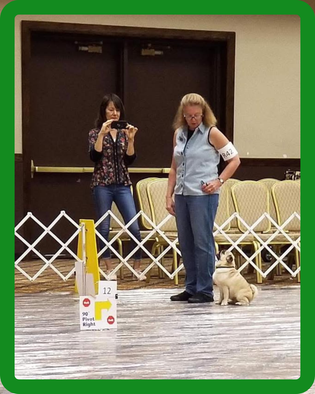 AKC RALLY "MAY-NIA" Trials