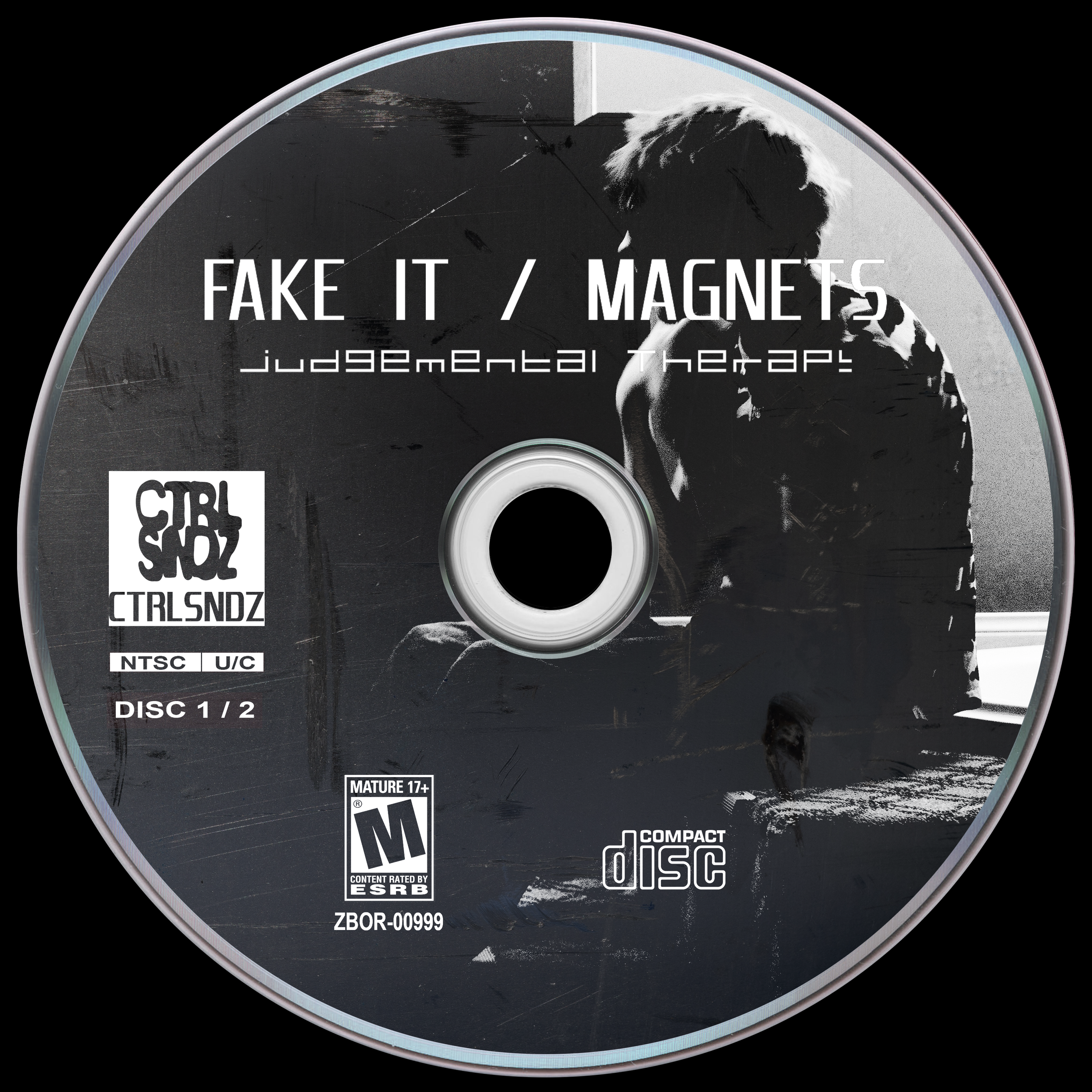 JT Fake It Magnets Cover Idea.png