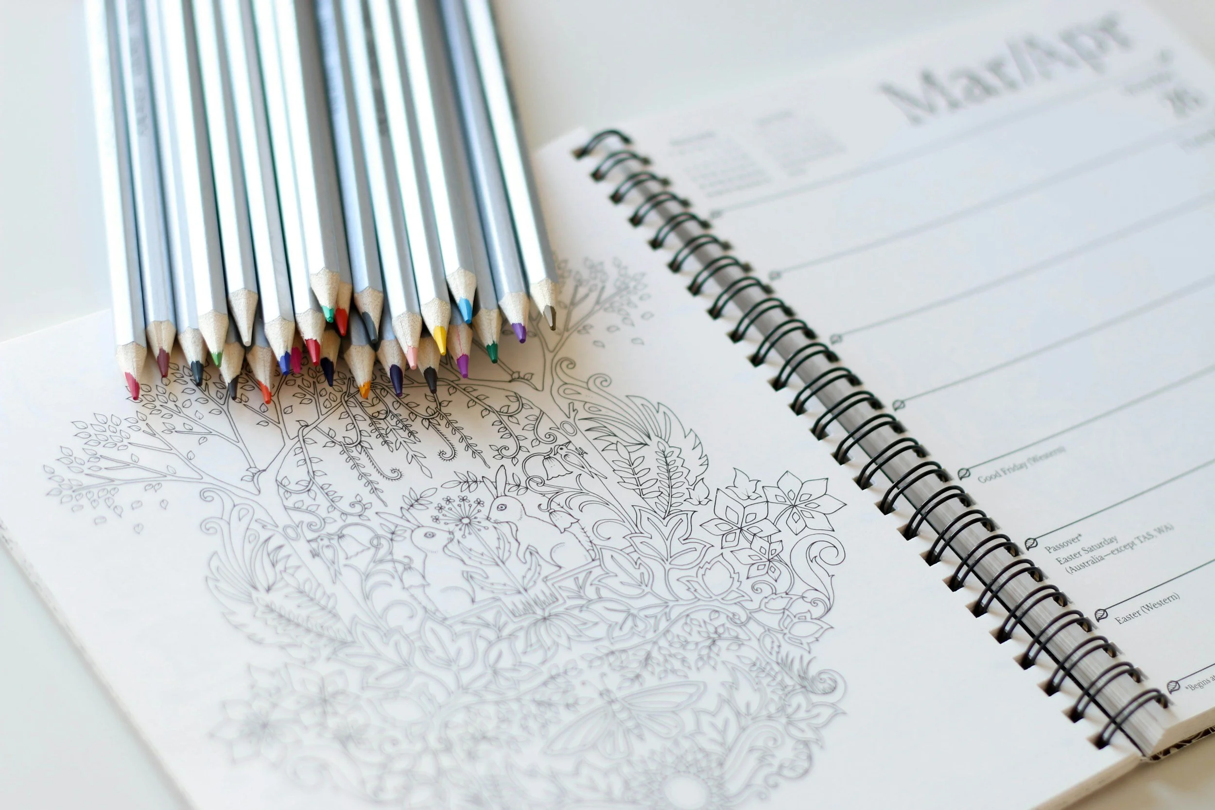 Coloring book open to a page with a detailed floral and animal design, with colored pencils placed on top.