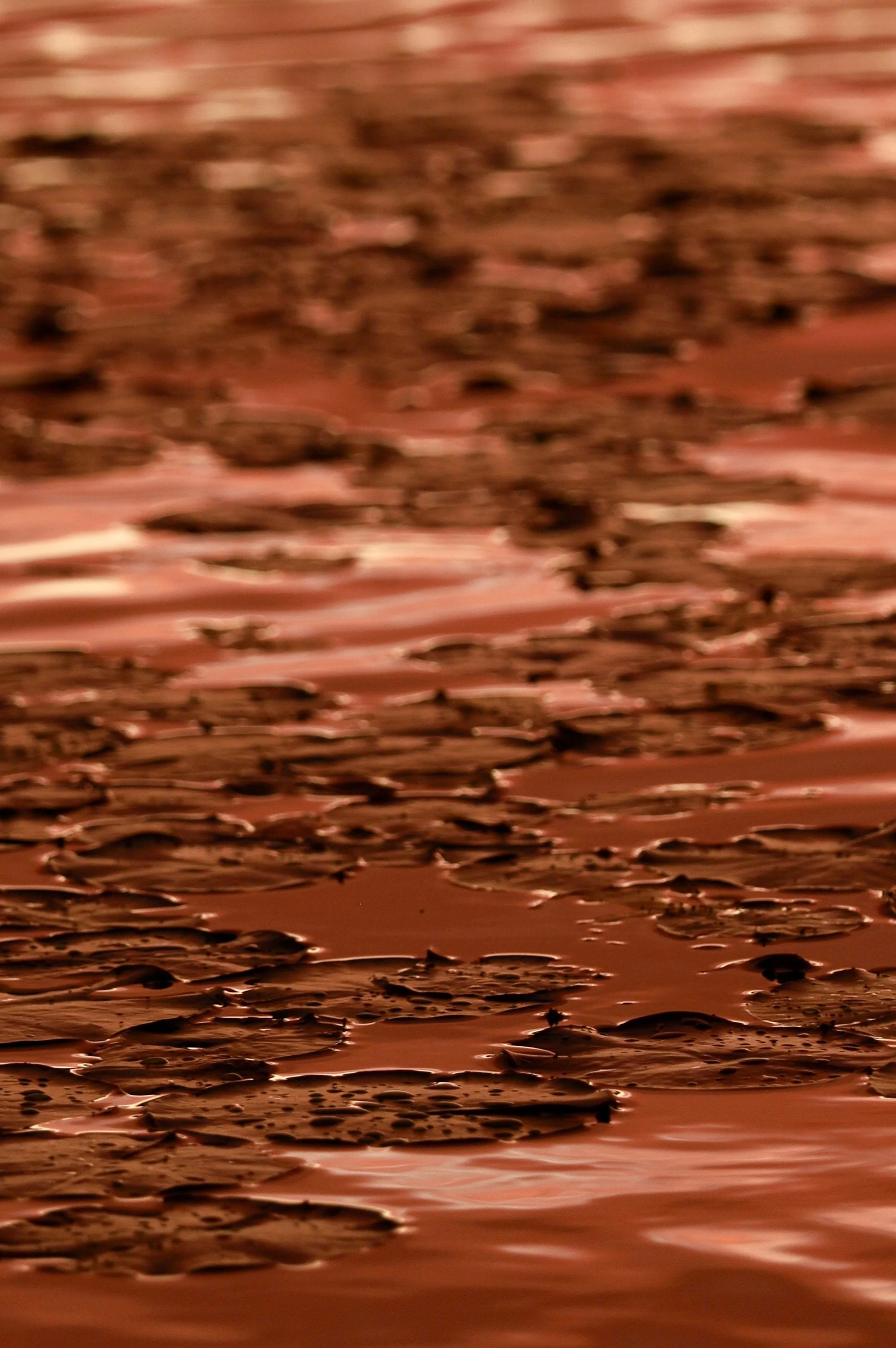 Close-up of a textured, abstract surface with a reddish-brown hue, featuring ripples and irregular patterns.