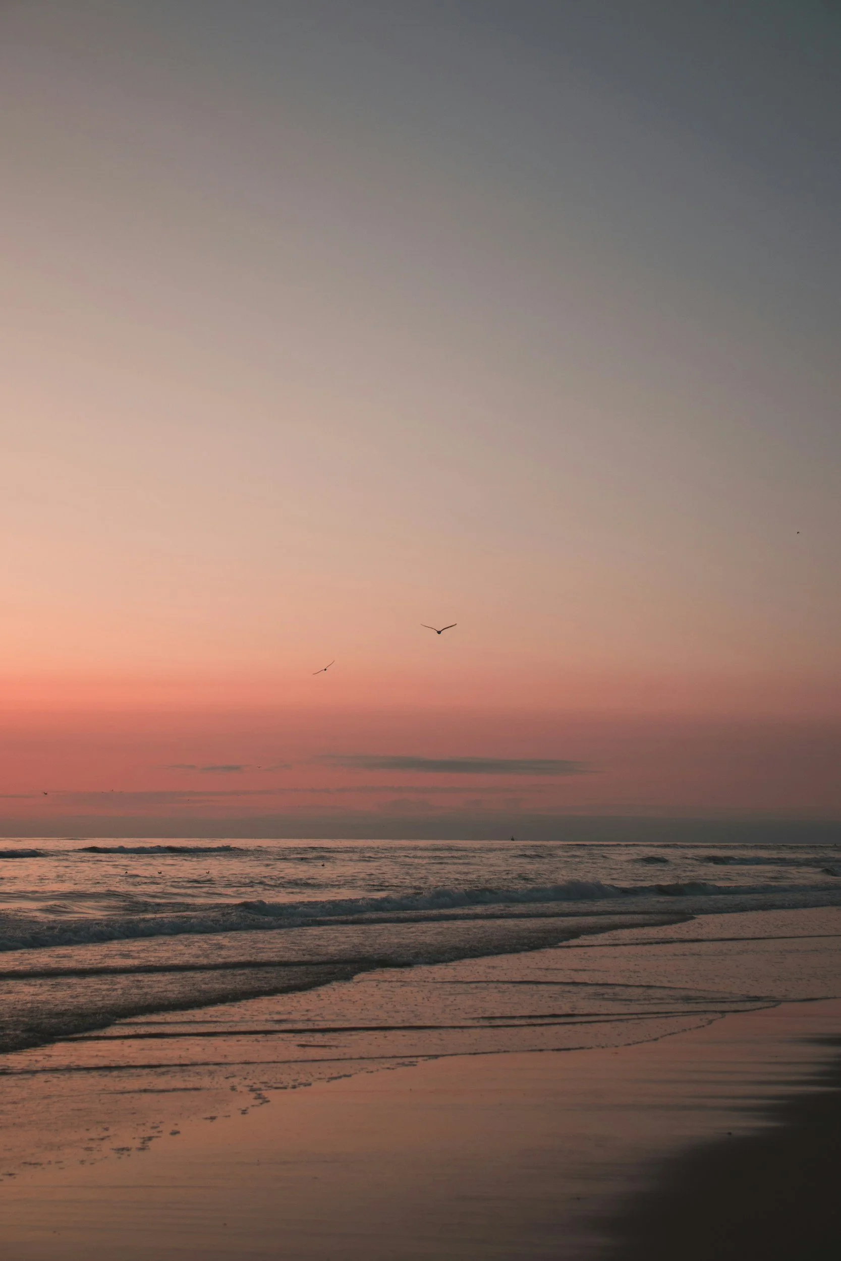 Sunset over the ocean with pink and purple sky, gentle waves, and two birds flying overhead.