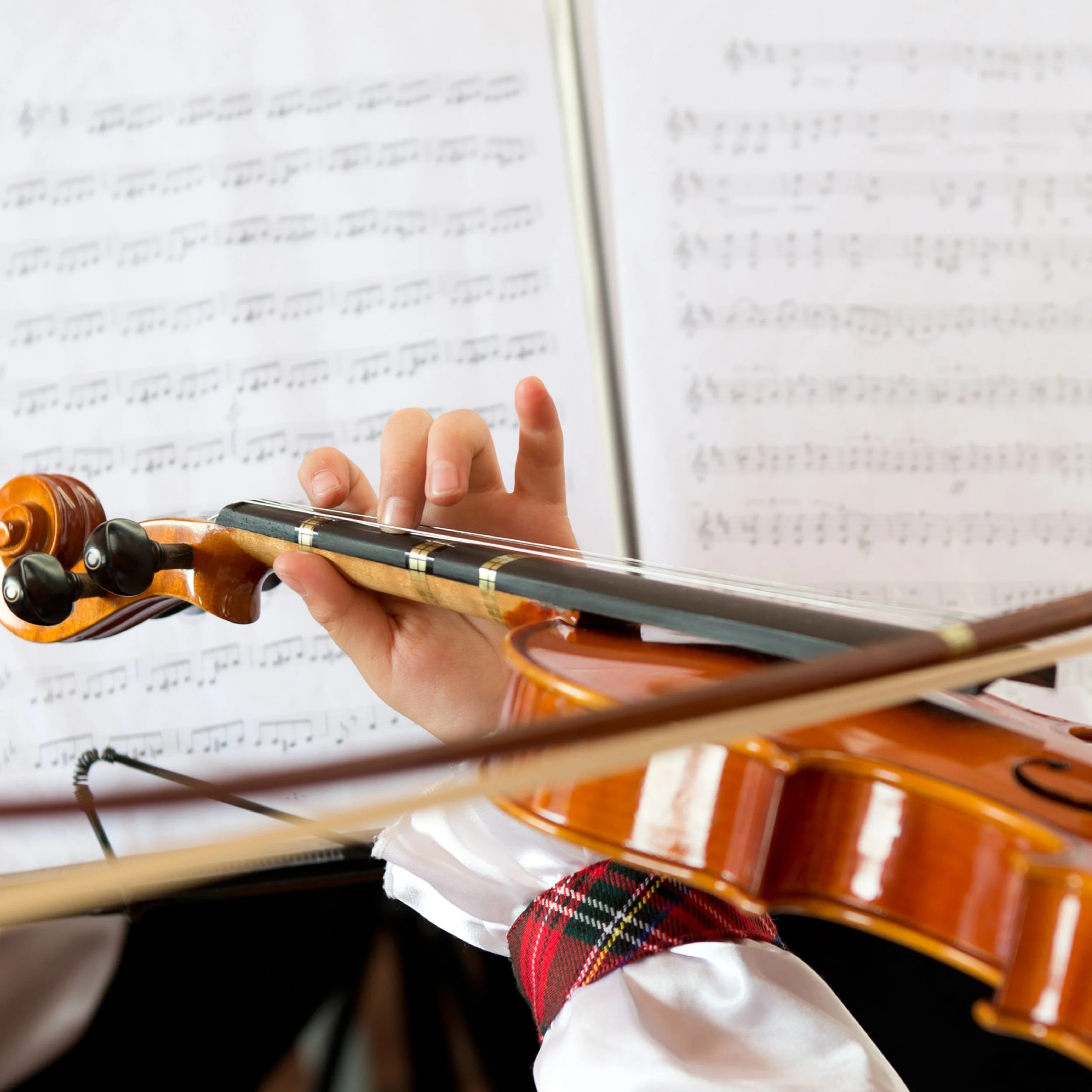 01violin-01.jpg