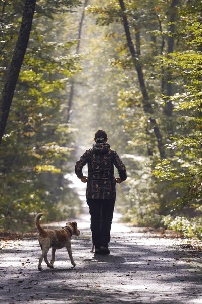 Dog Walking and Help With it