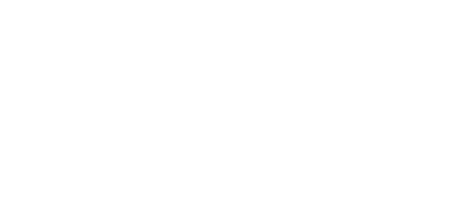 The Wedding Nanny NYC 