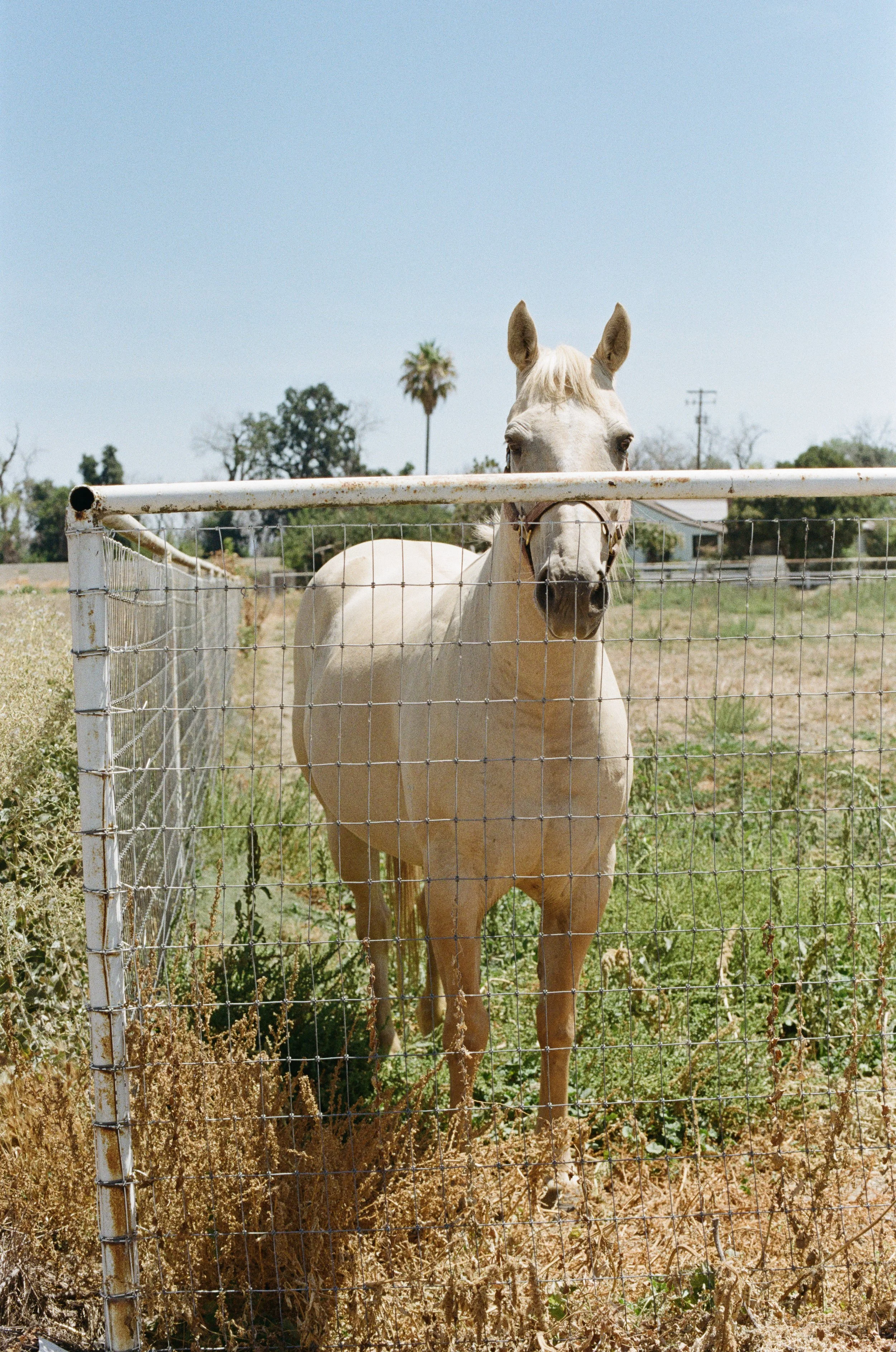 326455900003 copy.jpeg