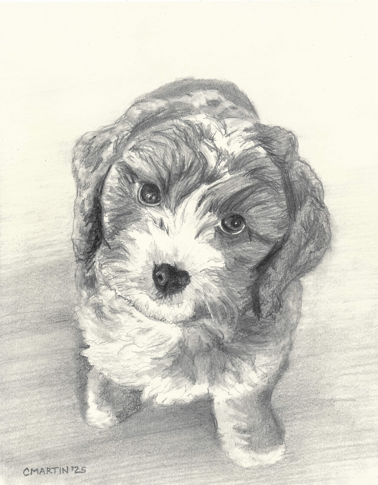 This is the dog of my very dear friend and he&rsquo;s the sweetest boy ever. His name is Bailey and he gets very, very excited when anyone comes to visit their house. 

#pencildogportrait #pencilpetportrait #petsofinstagram #sfbayareaart #petgifts #s