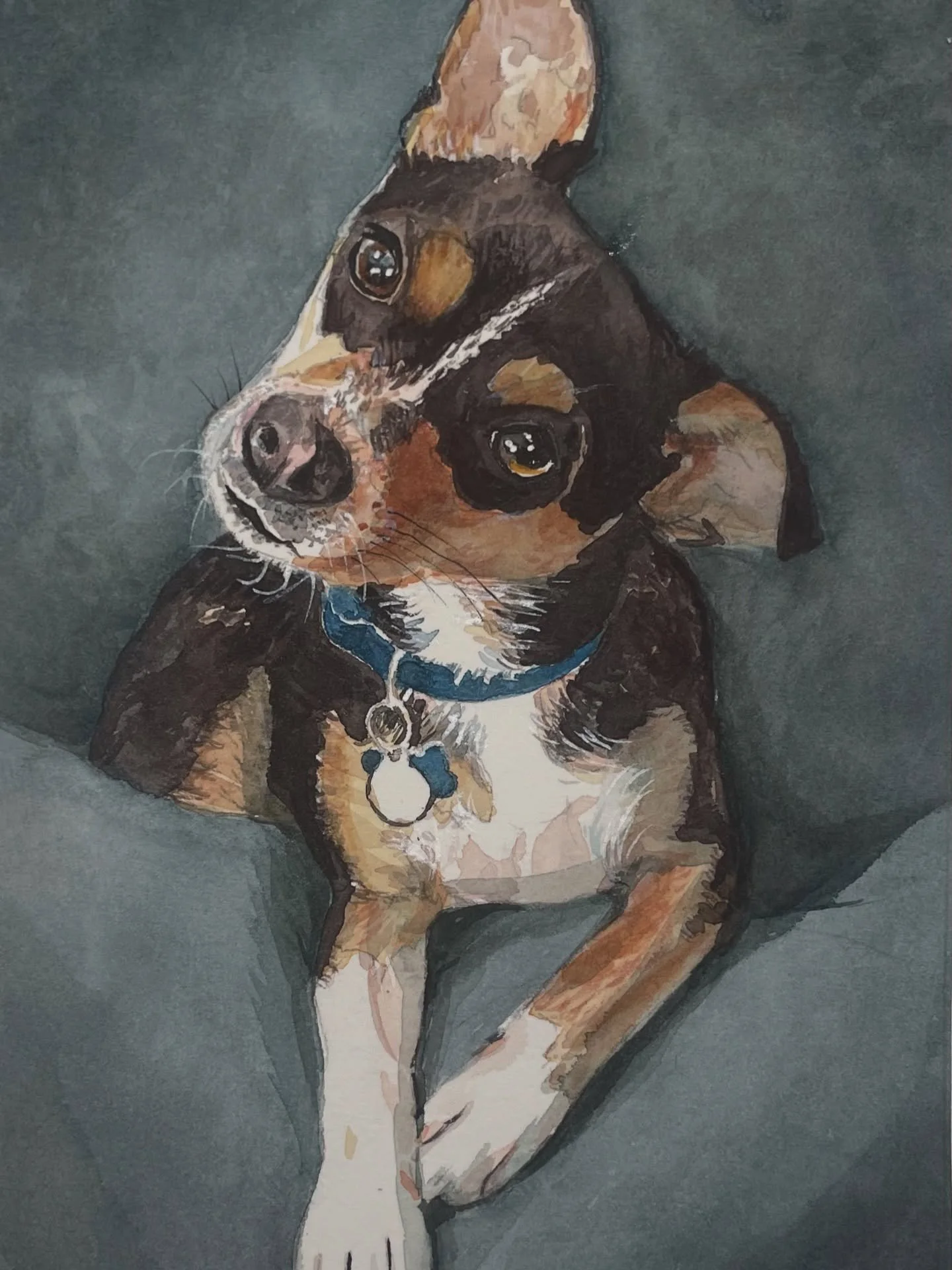 This is a commission I completed a few weeks ago. A customer ordered a portrait of this sweet dog for his girlfriend&lsquo;s birthday. Meet Moose! 

#warercolordogportraits #alamedaartist 
#petgifts #adorabledogs #petportraits #orderapetportraittoday
