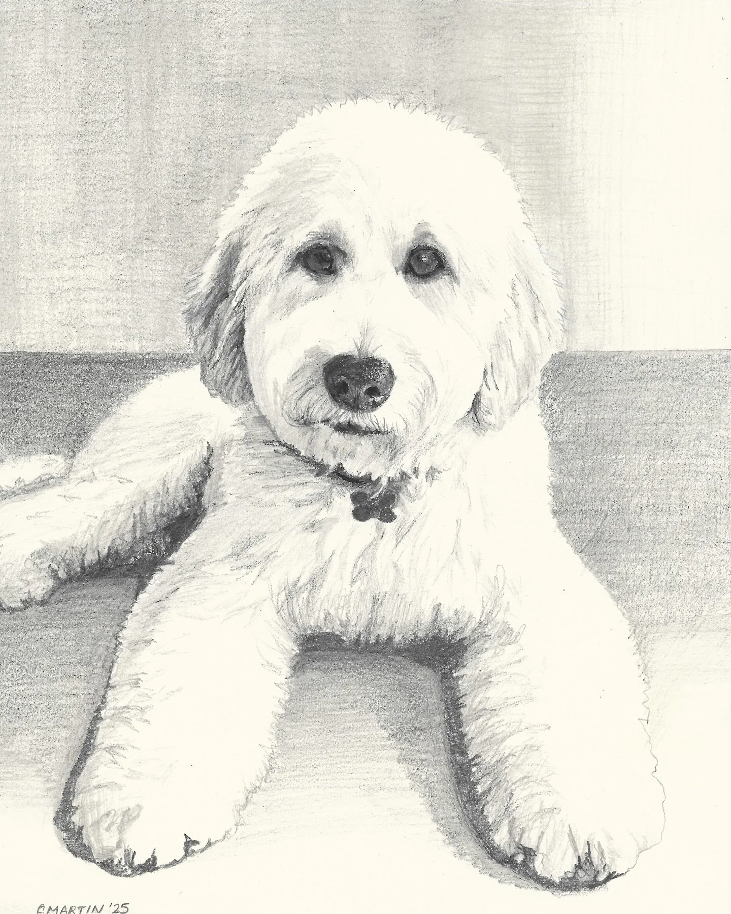 Just finished a pencil drawing of a gorgeous poodle named Mr. Blue!

#petportraitartist #dogartist 
#californiapets #petgifts #sfbayartist