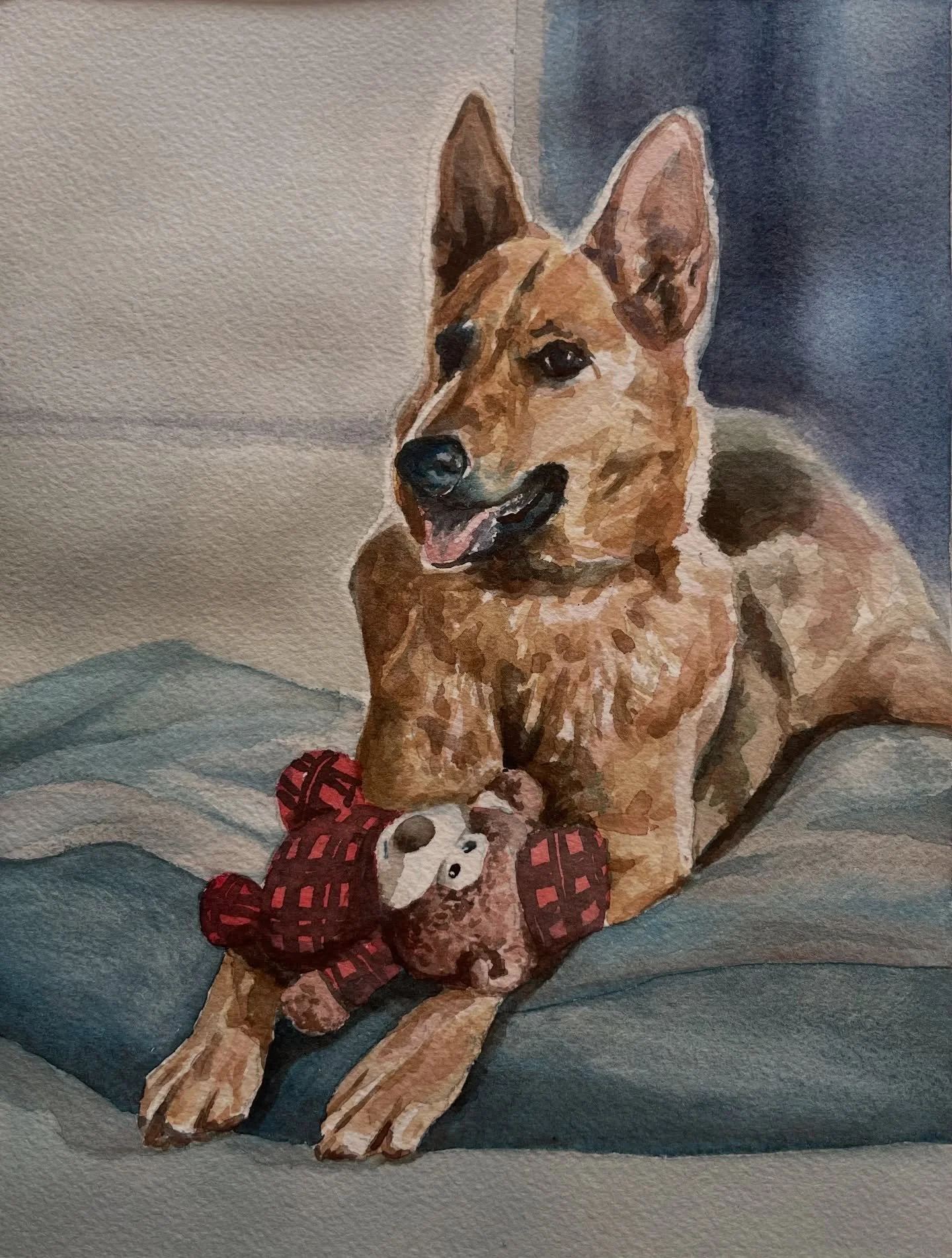 This is Lady, a sweet German Shepherd. I finished about a week ago! It was ordered as a Christmas present at the @alamedaholidayboutique :)

#petportraits #holidaygiftideas
#eastbayartist #petgifts #doglover #germanshepherds #watercolorartwork