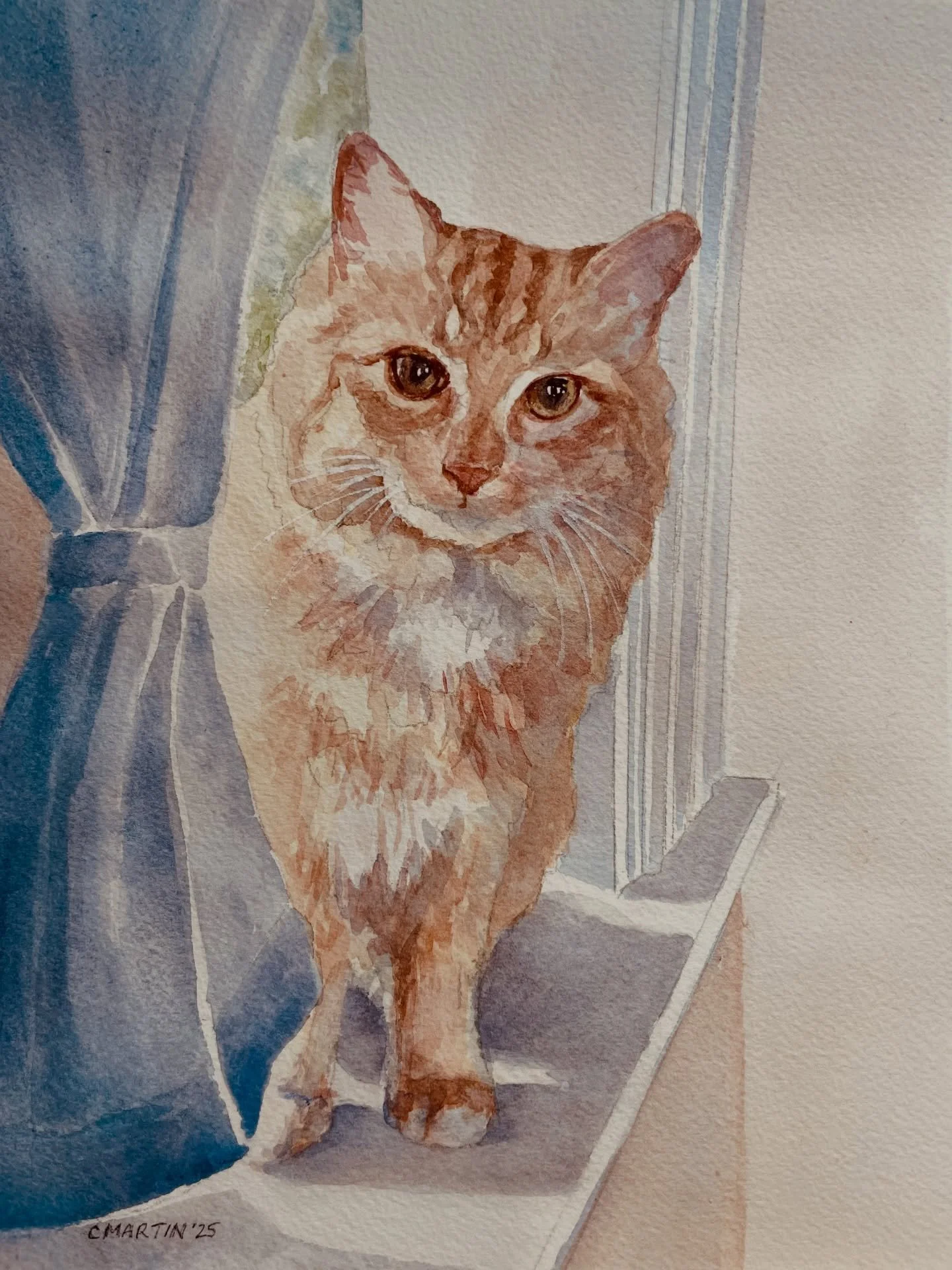 This is Sergeant Norm Carter, a beautiful long-haired tabby cat that I painted right before the holidays.  I was very fortunate to get lots of orders during the holiday season! :) 

#cats_of_instagram 
#petwatercolor 
#bayareaartist 
#tabbycatart 
#p