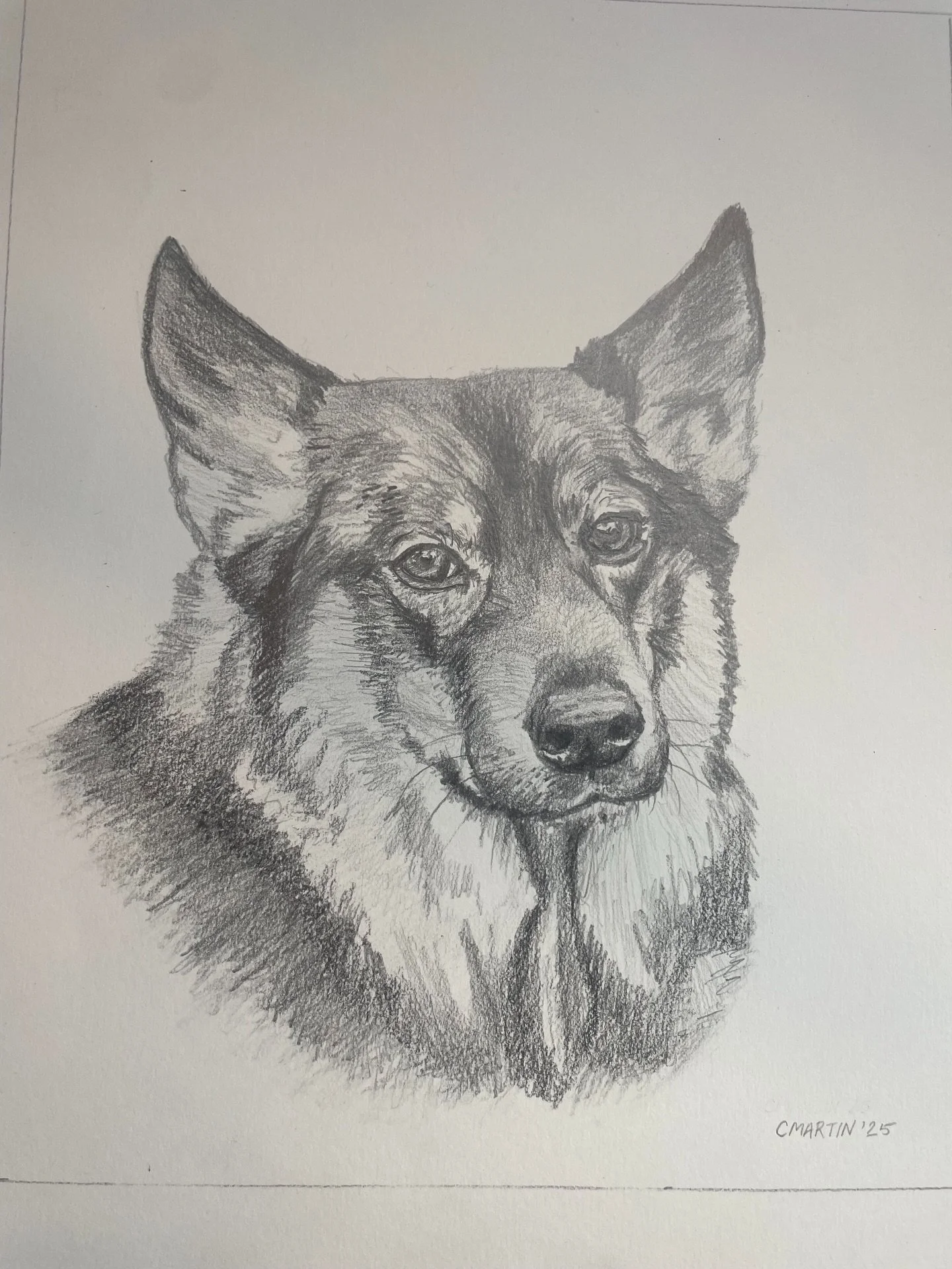 Meet Carrson, a beautiful German Shepherd. His name is a clever play off the owner&rsquo;s last name. It was a pleasure creating this special pencil portrait of such a sweet dog. Just look at that face!

#petportrait 
#doglovergifts 
#animalover
#sfb