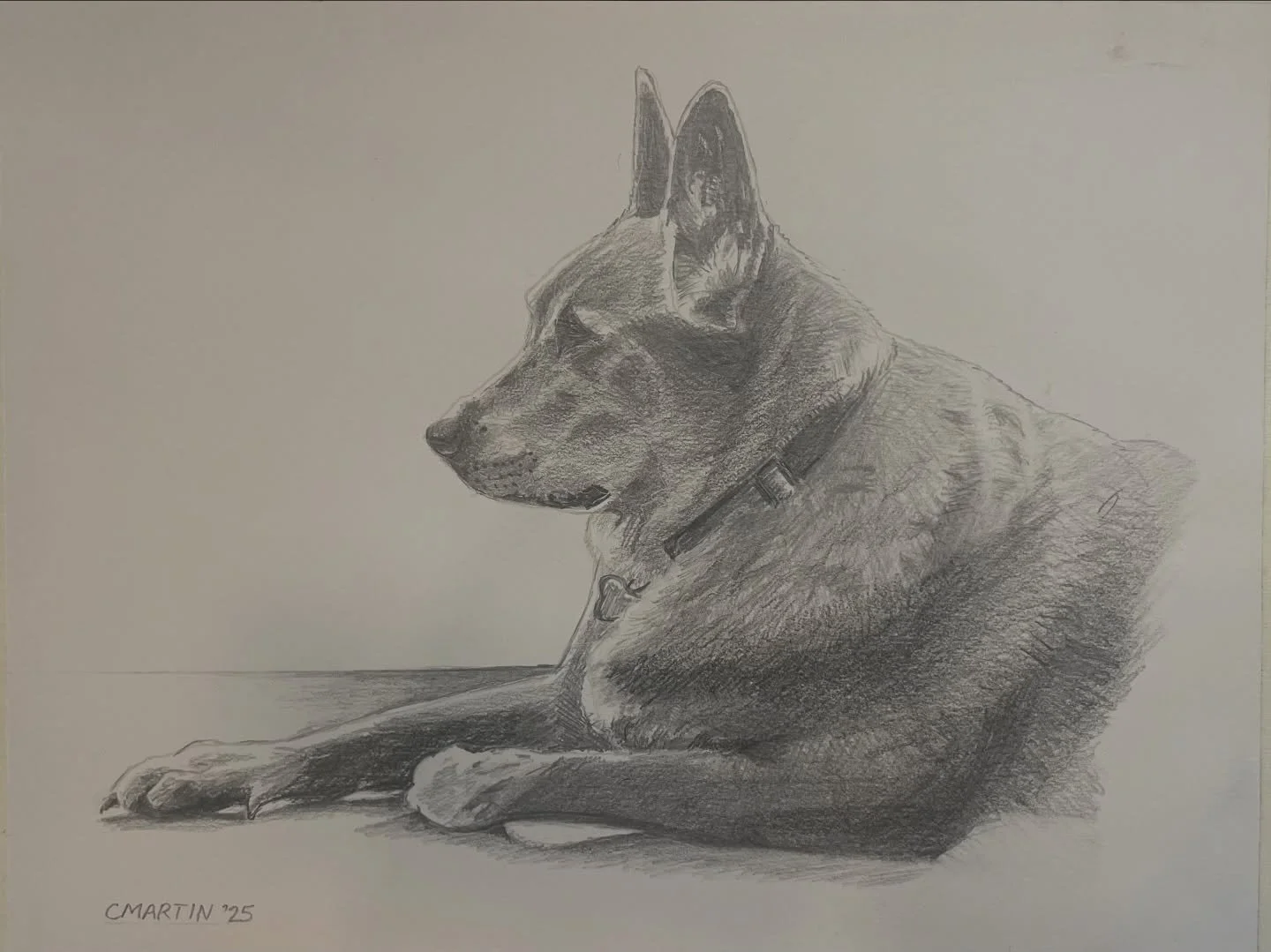 This is a pencil portrait that was commissioned before Christmas. 

This sweet dog is Penny. 

#custompetportrait 
#petgift
#petmemorial 
#doglover
#eastbayartist