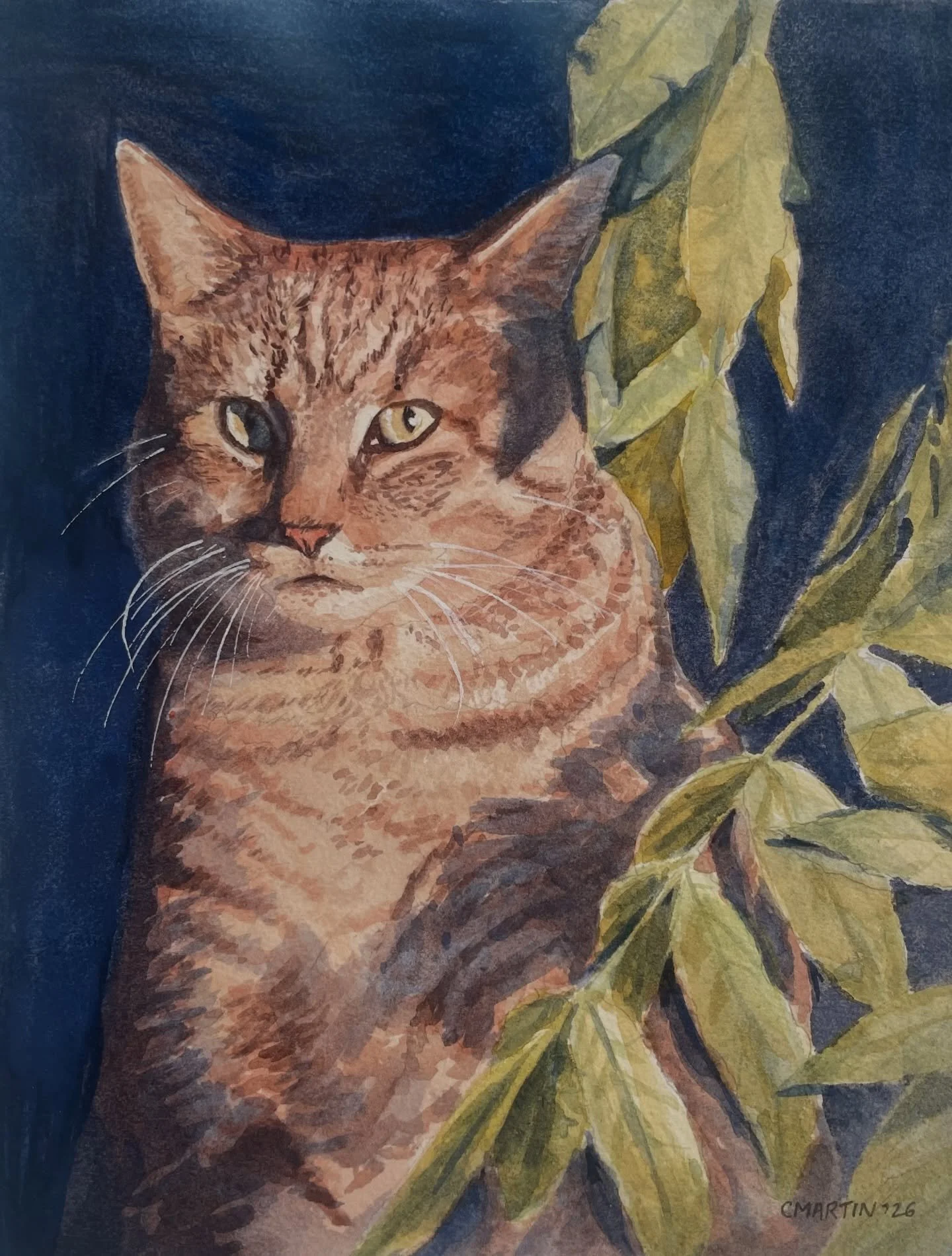 This is Max, one of my favorite recent watercolor paintings! 

Go to chasemartinart.com to order a custom portrait of the special pet or pets in your life!

#catart #petportraitartist #watercolor #petgift #petartist