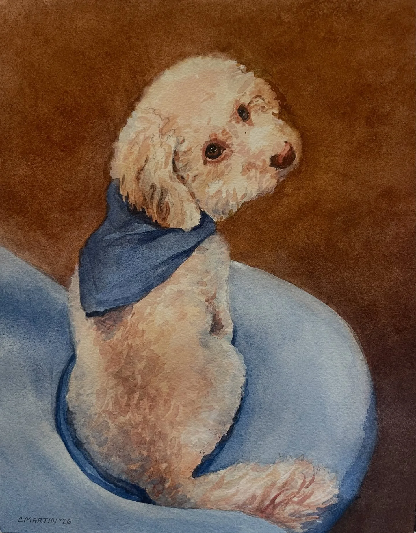 This is Coco! I just finished this little watercolor last week. I really love the sweet expression in her eyes. She&rsquo;s so innocent. 

#petportraitartist #petgift #poodlelove
#sfbayareaartist