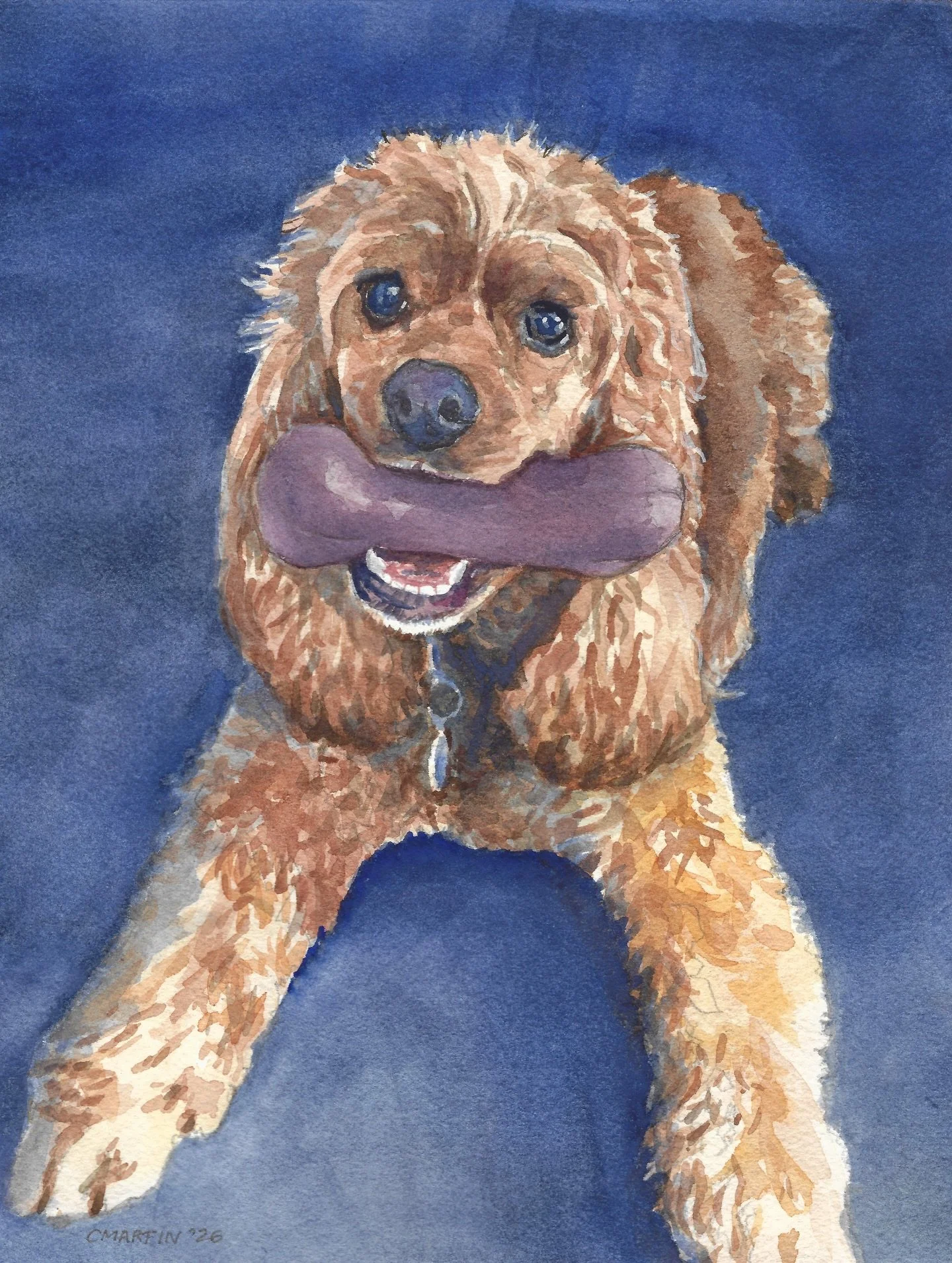 Meet Neville! This sweet cocker spaniel is beloved by his owner Mary, who bid and won a painting commission from me. I donated a custom watercolor painting to the Golden Gate Bird Alliance&rsquo;s 2025 Birdathon. This venerable association, founded i