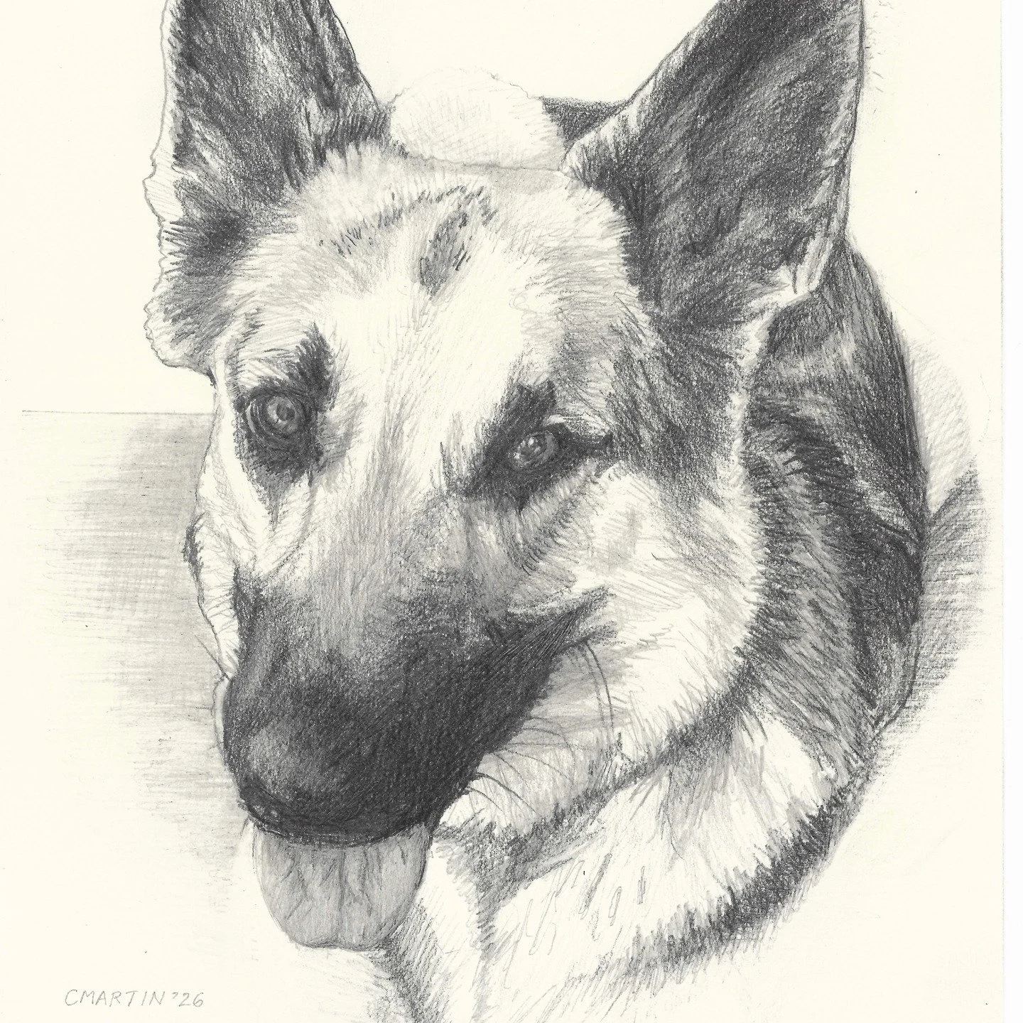 This is a pencil portrait I recently completed of a dog named Nova. I participated as a vendor in Alameda's Downtown Winter Market last December and offered this to my lucky raffle winner!

@downtownalameda @loveourisland #petportait #EastBaySFArtist