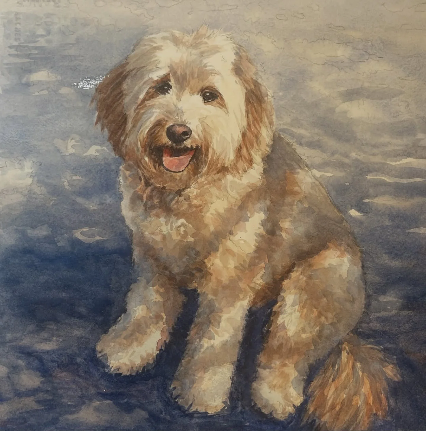 This is memorial watercolor portrait I recently finished of a sweet dog named Phoebe. It was one of my larger portraits at 14 x 14 inches. Phoebe was sitting under shade trees, creating this lovely dappled light. 

I hope this portrait elicits happy 