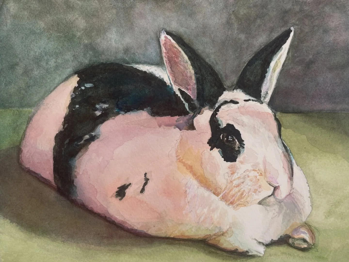 This is Harvey Quinn, a beautiful rabbit that I painted for clients several weeks ago. I really enjoyed my first rabbit painting - in perfect timing for spring! i&rsquo;m very happy with how the colors came out (the undertones of a rabbit are pink as