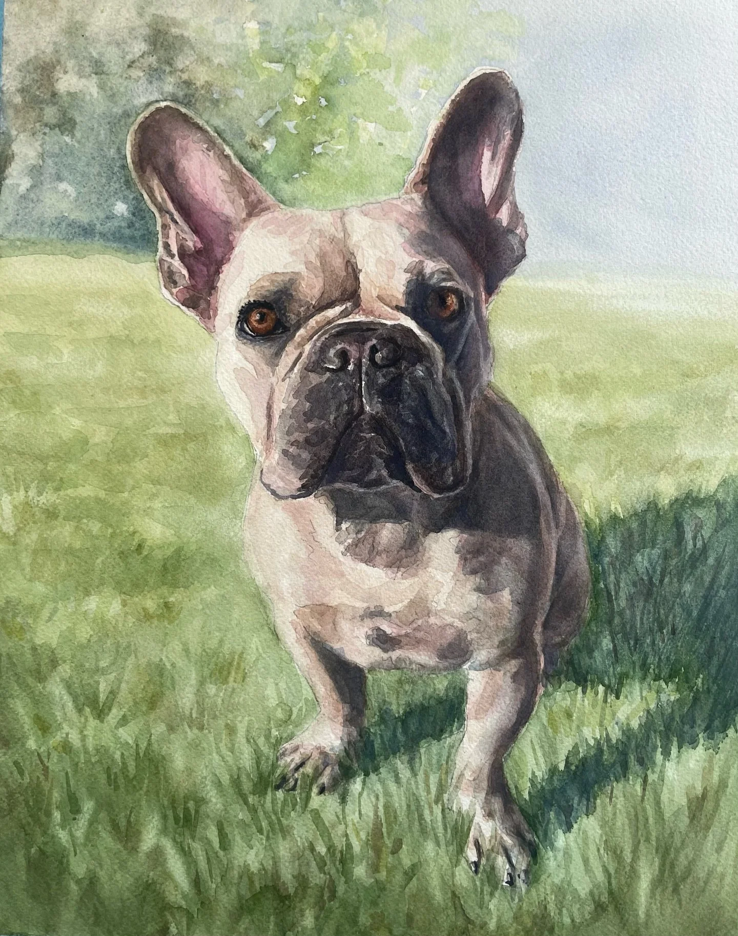 Here is a watercolor painting I just finished of a sweet Frenchie named Deebo! It is one of my larger portraits, measuring 11 x 14&ldquo;. 

Order your custom pet portrait at my website www.chasemartinart.com!

#petportraitsofinstagram 
#petgift #sfb