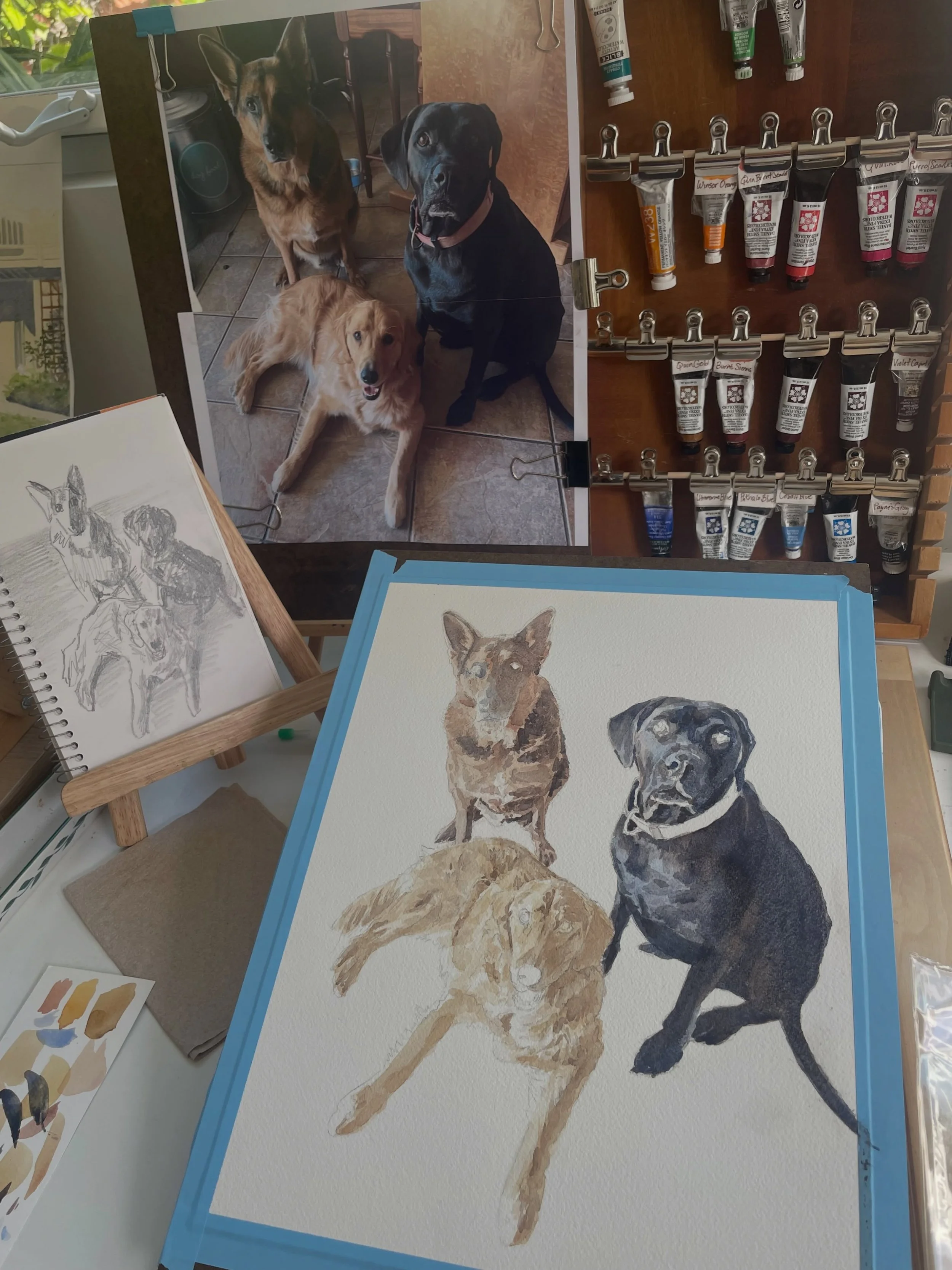 Custom watercolor painting in process! 

#watercolorartist 
#petportraitartist 
#ilovedogs 
#petgiftideas 
#bayareaartist