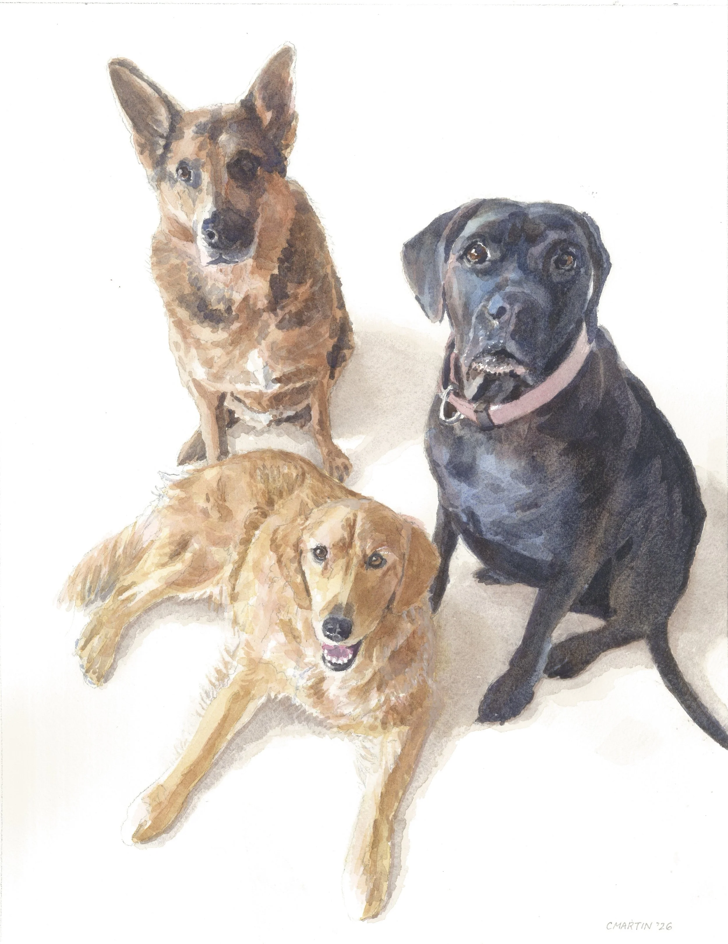 This is an 11 x 14&ldquo; watercolor painting I just completed for a fabulous woodworker and artist, Jeff Davison. 

I met Jeff recently while attending the Montclair Village Art Walk as a vendor. In a bartering arrangement for this custom painting o