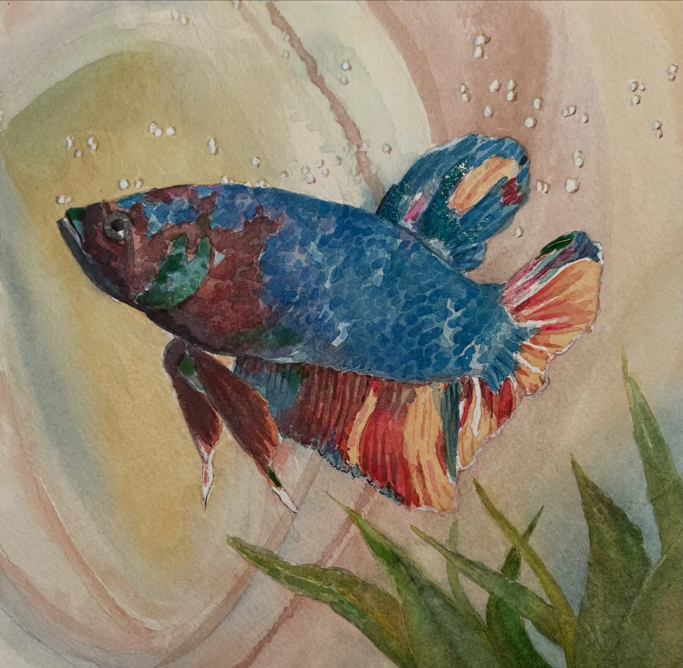 Here is the painting of Bo&ouml;tes the fish that I painted for my niece! :)

#petpainting #betafish #petgiftideas