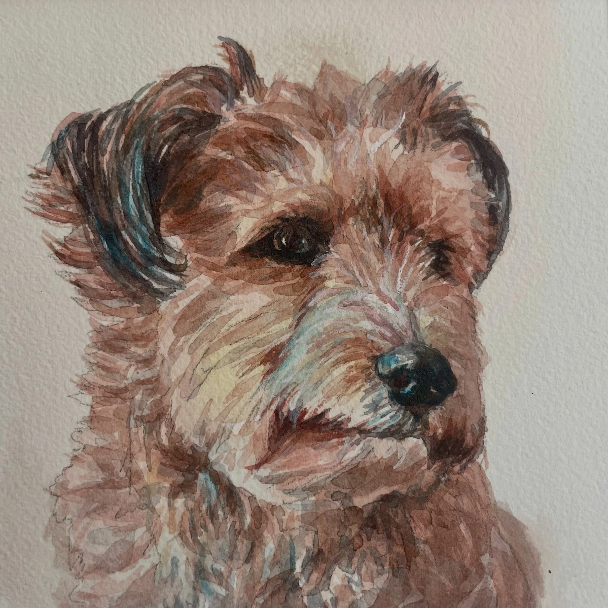 This is Yuki, a cute little terrier I also painted for abstract artist @swannpaints !

These little 6 x 6&rdquo; paintings are popular with my customers. Swann bought one for each of her sister&rsquo;s dogs to offer as gifts. 🎁

#fabulousgifts #ilov