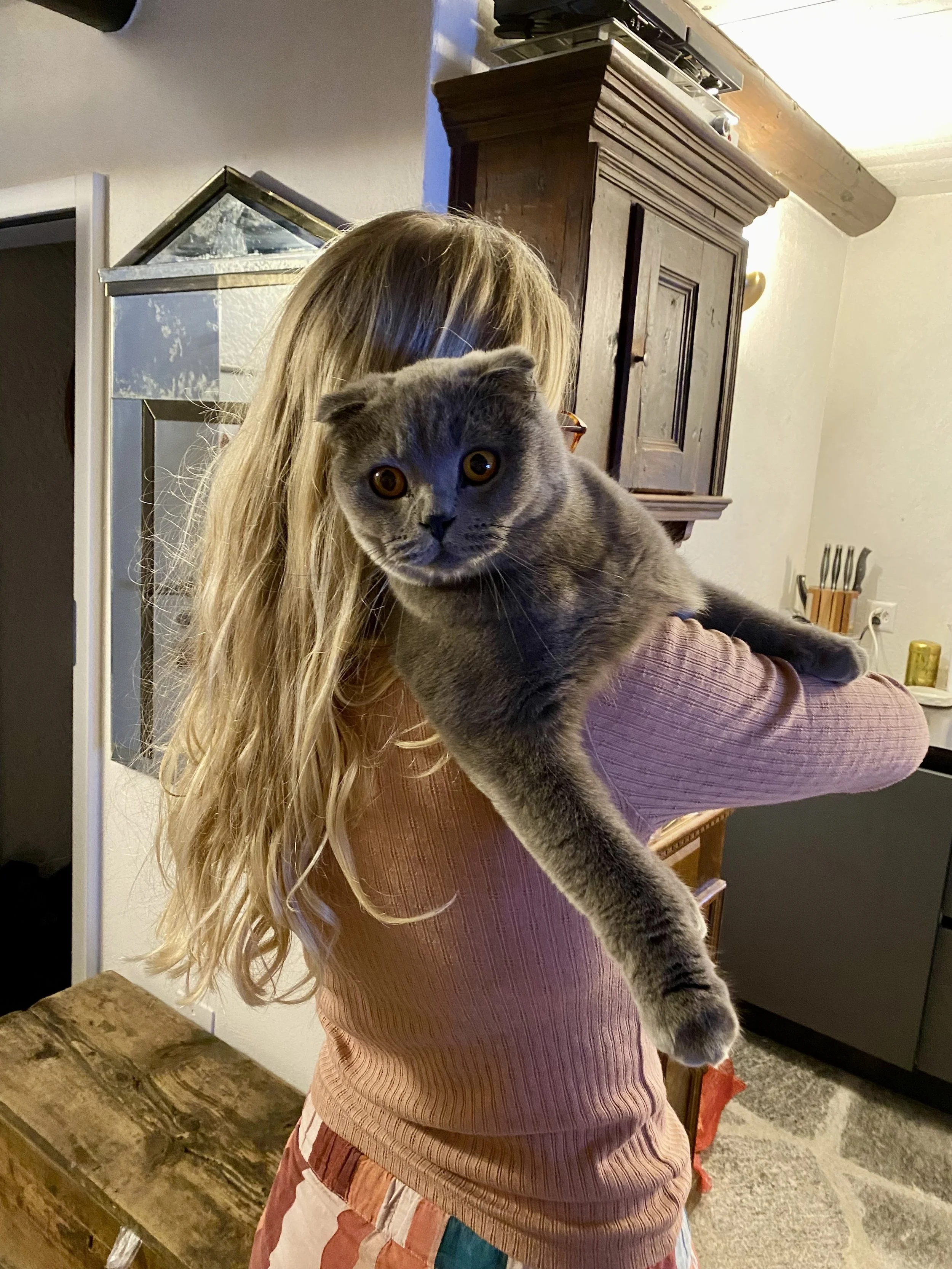 UK freelancer copywriter Emma Griffin with her british blue cat