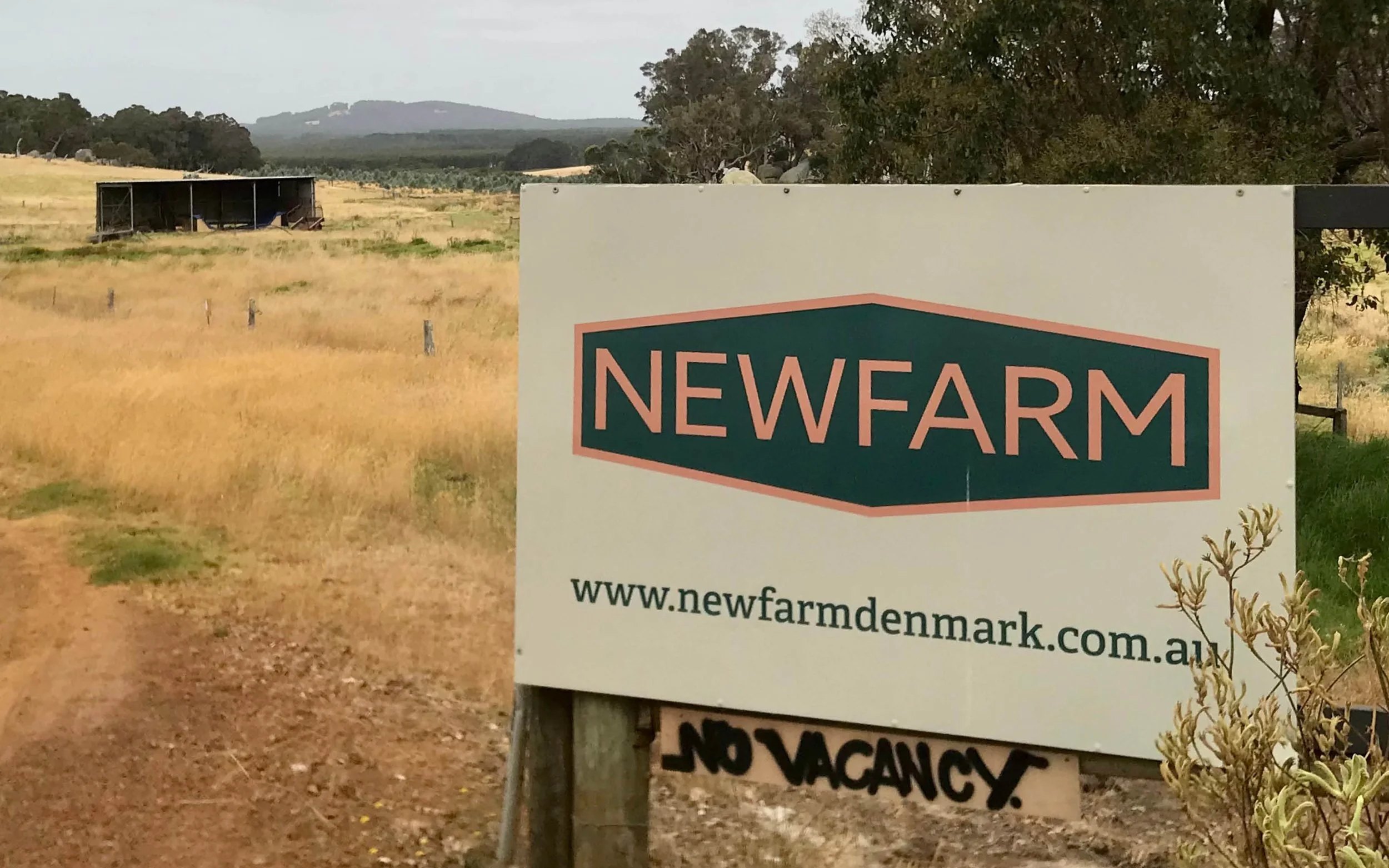 New Farm