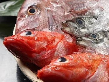 Sahioku Fisheries: Preserving Japan's Coastal Seafood Heritage