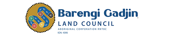 Barengi Gadgin.PNG
