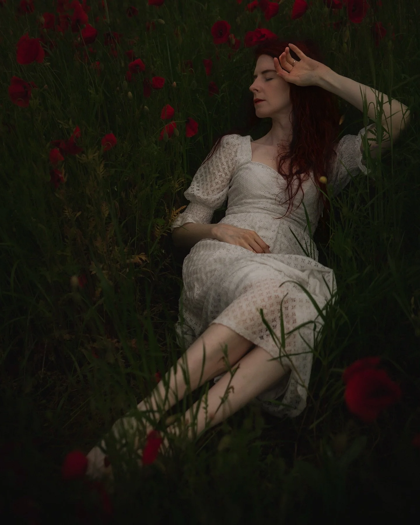 Today, two different people sent me photos of blooming poppy fields within 10 minutes.
I guess it&rsquo;s official, my love for wildflower landscapes is no secret.
&zwnj;
But here&rsquo;s the twist: I had already found my own poppy field.
&zwnj;
And 