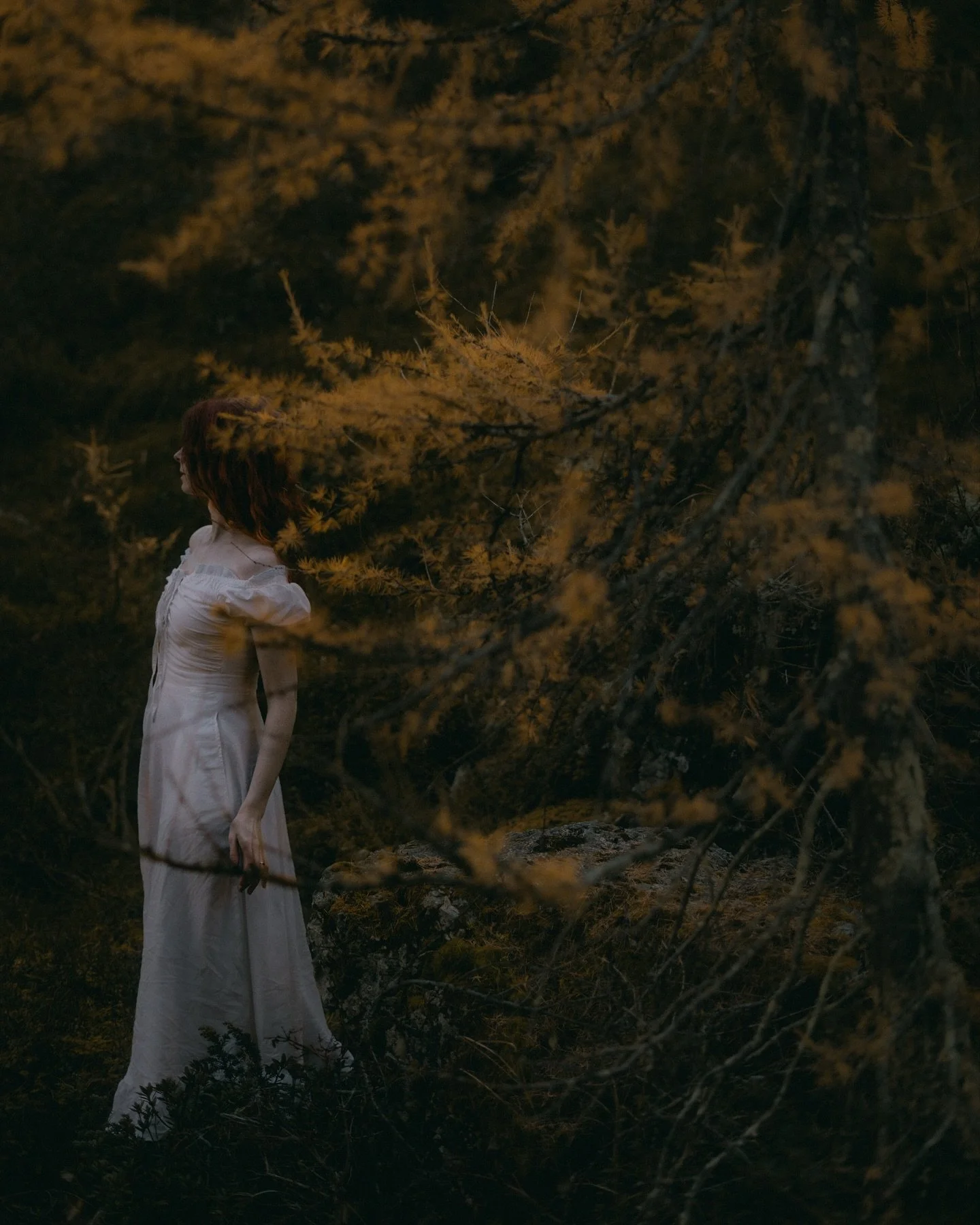 At first, I thought this series would be a cozy&ldquo;walk with me through an autumn morning in the Dolomites&rdquo;.
But as I edited, the story drifted into something softer, darker, dreamier. I don&rsquo;t really mind though, but if you&rsquo;re he