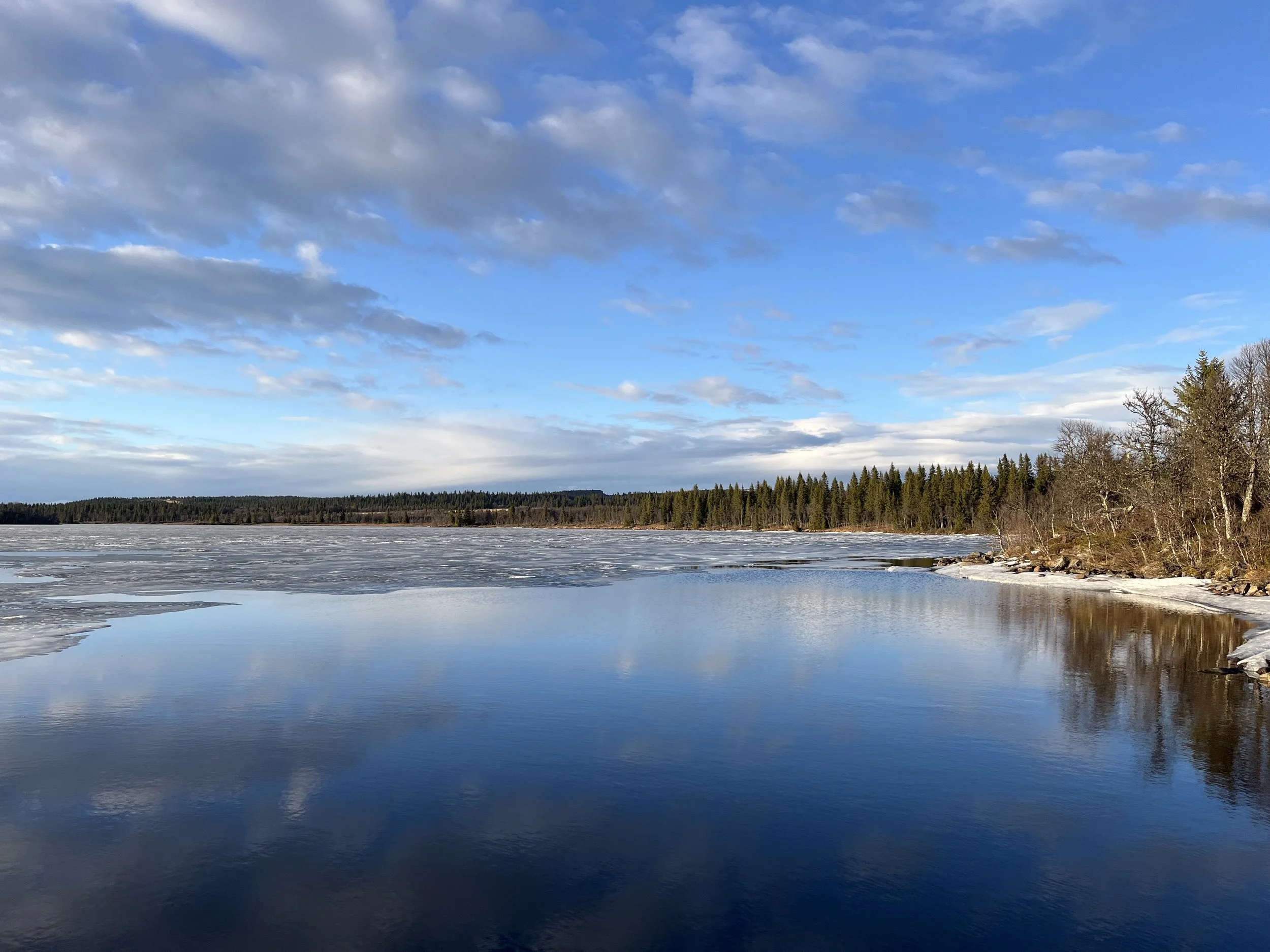  Våsjøen 29. april. Snart isfritt. 