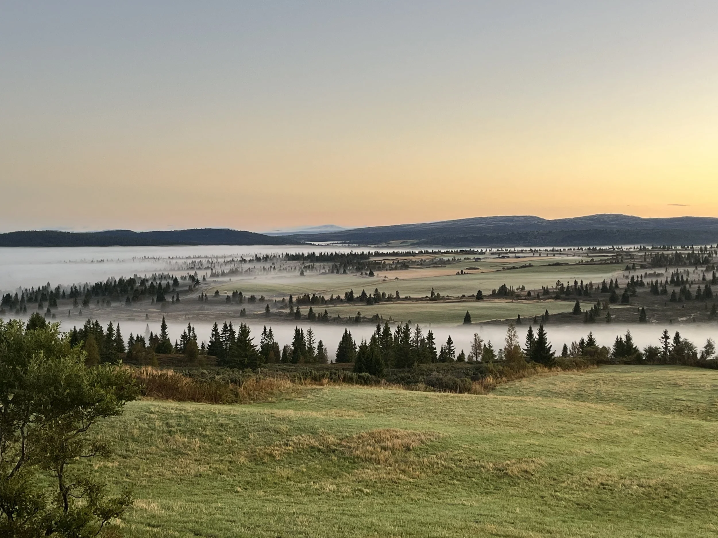  Nysætra 7. september. 