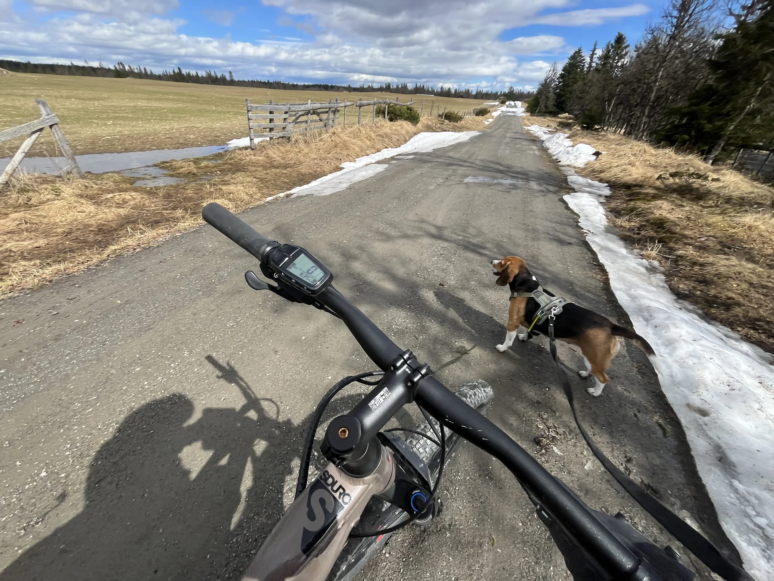  Svartåsen 22. mai 2026 