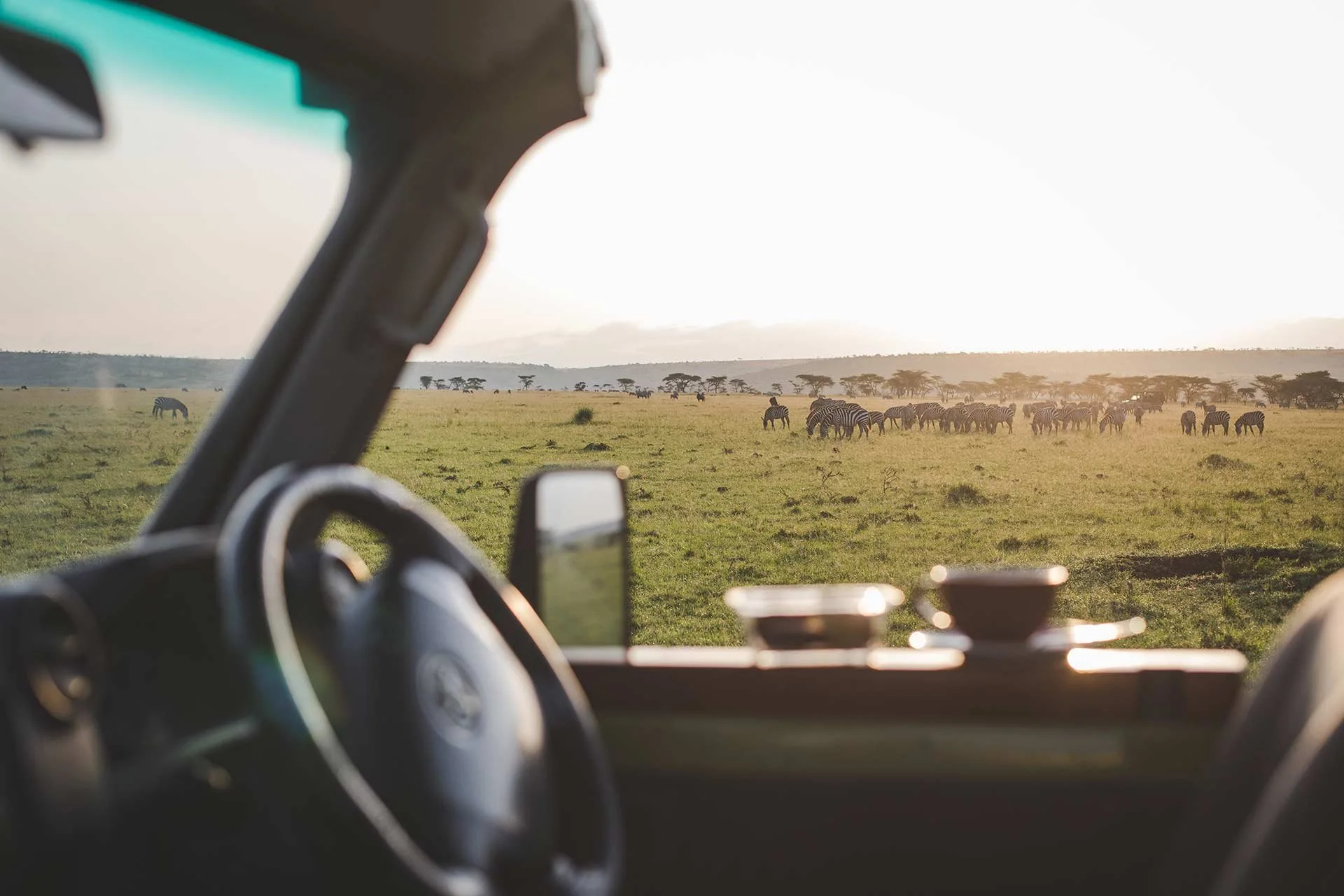 View from inside a vehicle showing a savannah landscape with a herd of zebras grazing, distant trees, and a bright sky at sunrise or sunset.