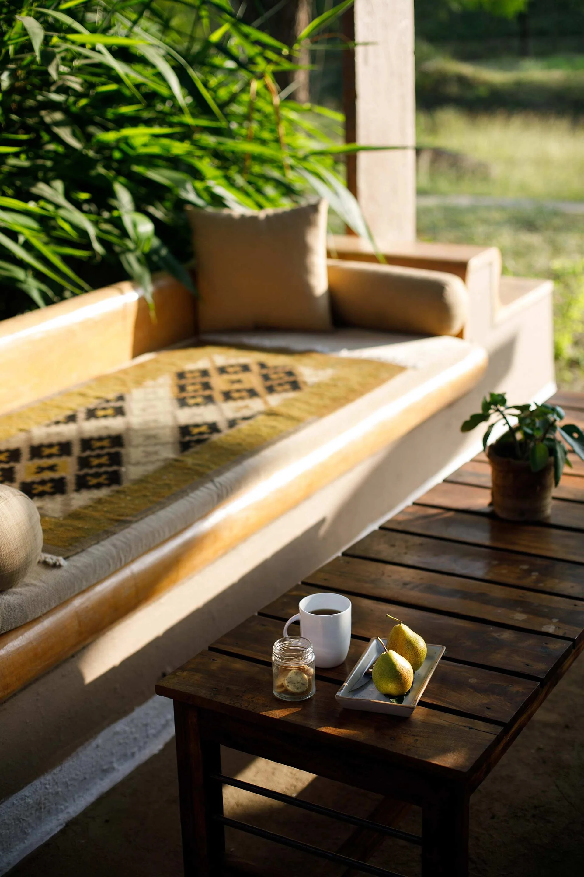 A cozy indoor space with a wooden coffee table holding a white mug, two pears on a white rectangular dish, and a small glass jar. There is a cushioned bench with pillows, a large potted plant, and sunlight streaming through a nearby window.
