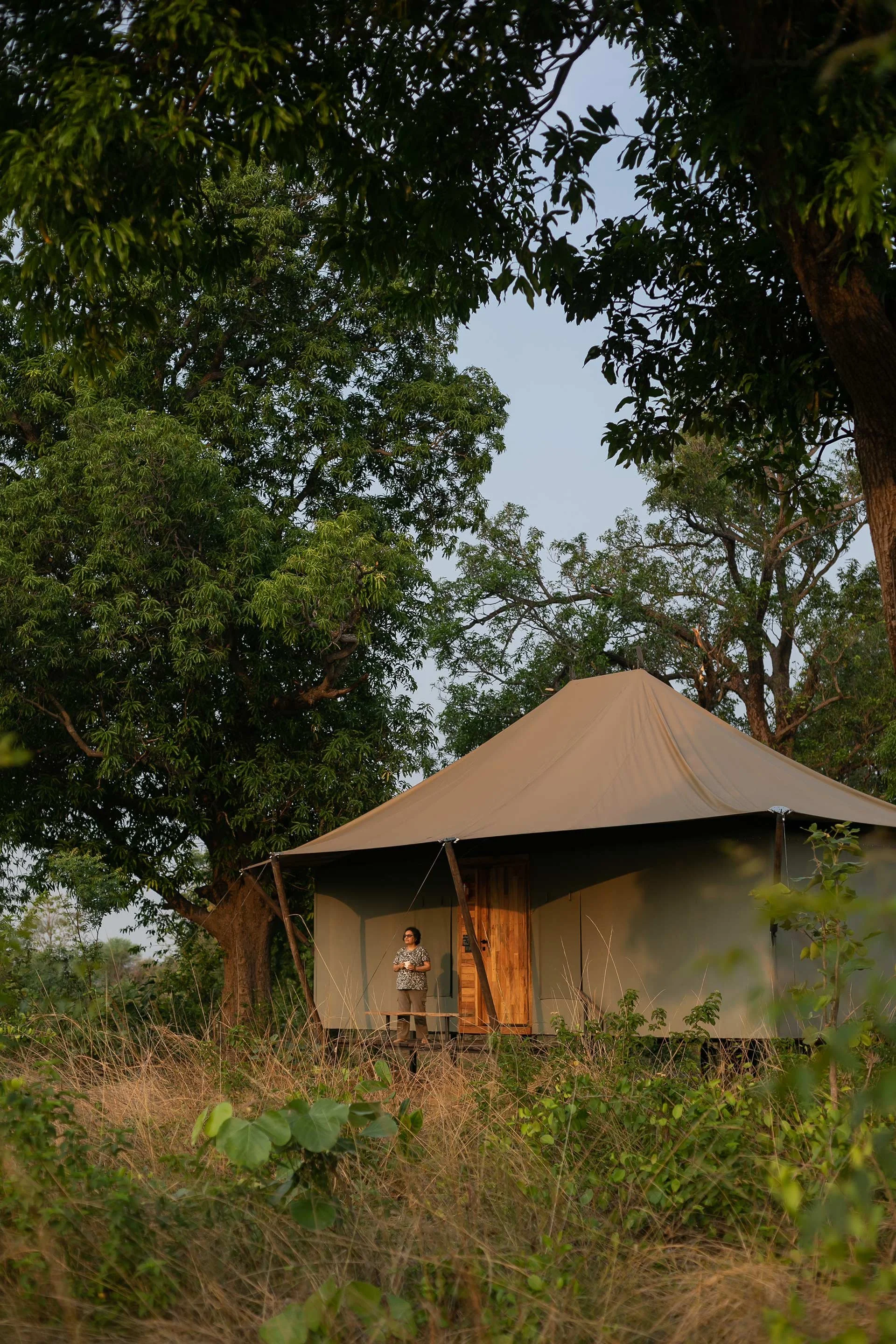 A person standing on a porch in front of a large, beige canvas tent amid trees and tall grasses. At Tadoba, photographed by Rishul Bangar.