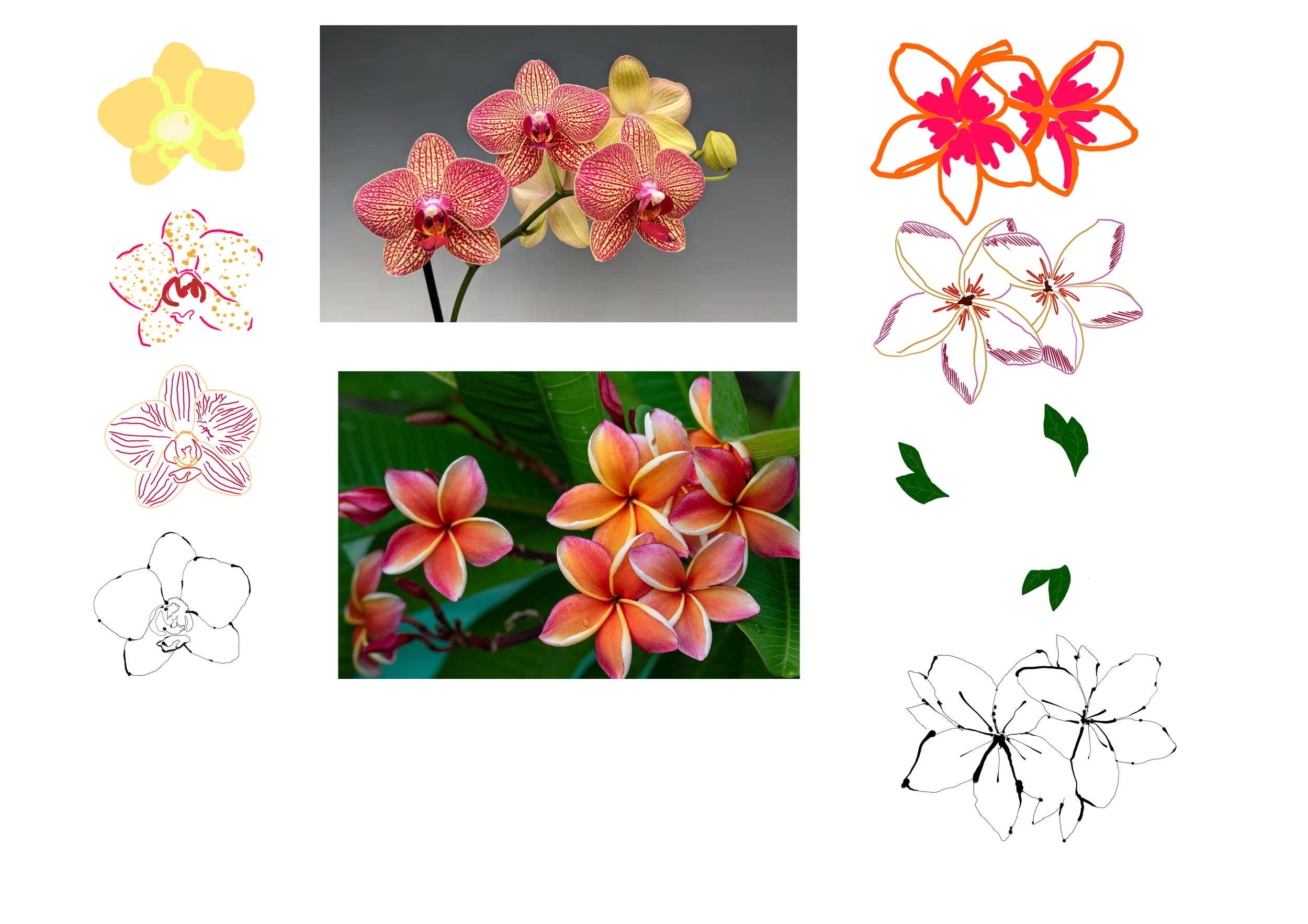 Untitled_Artwork 24.png