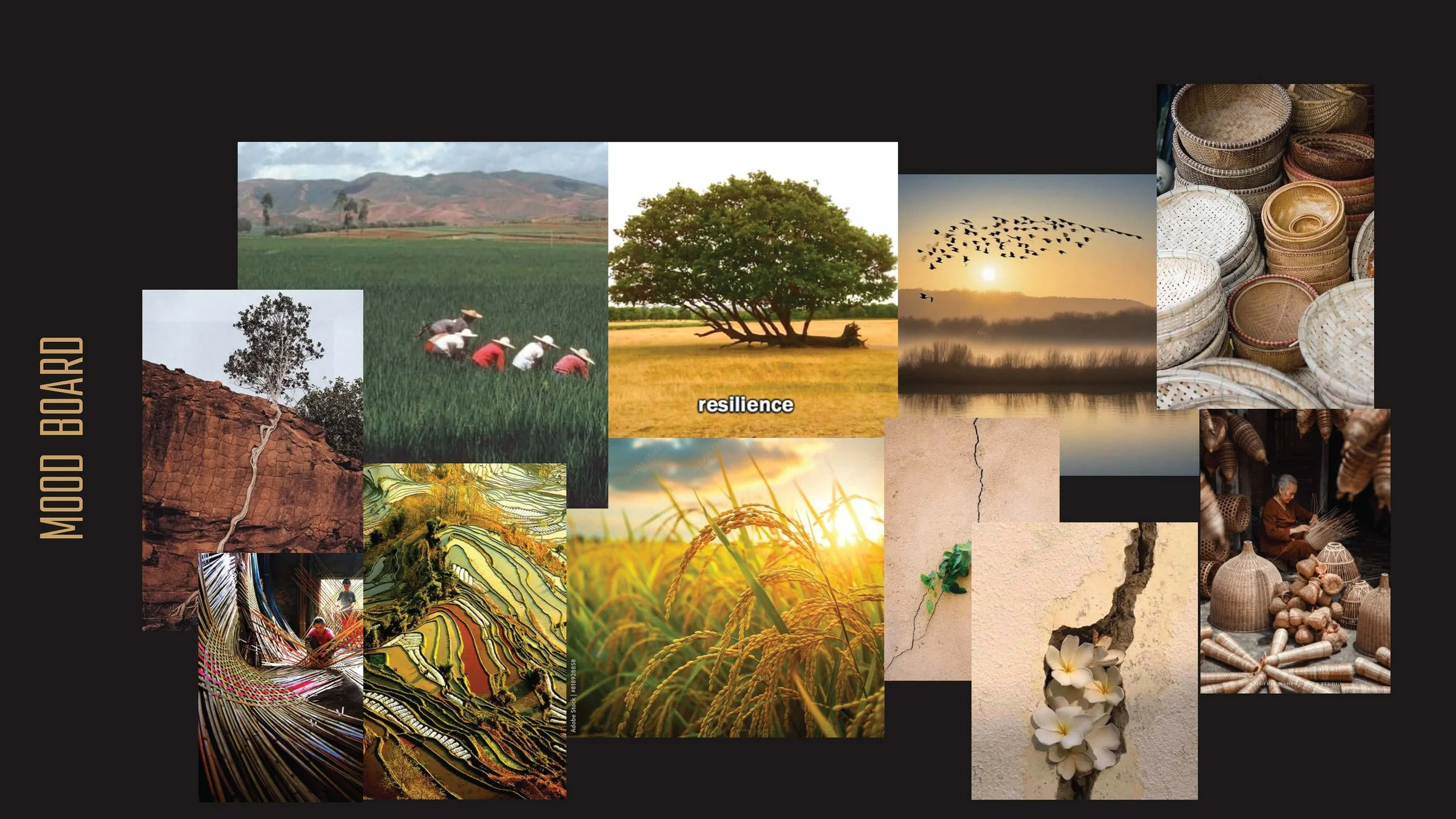 Govender_Shanleigh_HOPE Project_Page_05.jpg