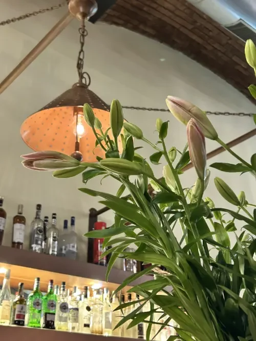 Nahaufnahme von Lililien in einem Restaurant oder Café, im Hintergrund Bar mit Spirituosen und eine Hängelampe.