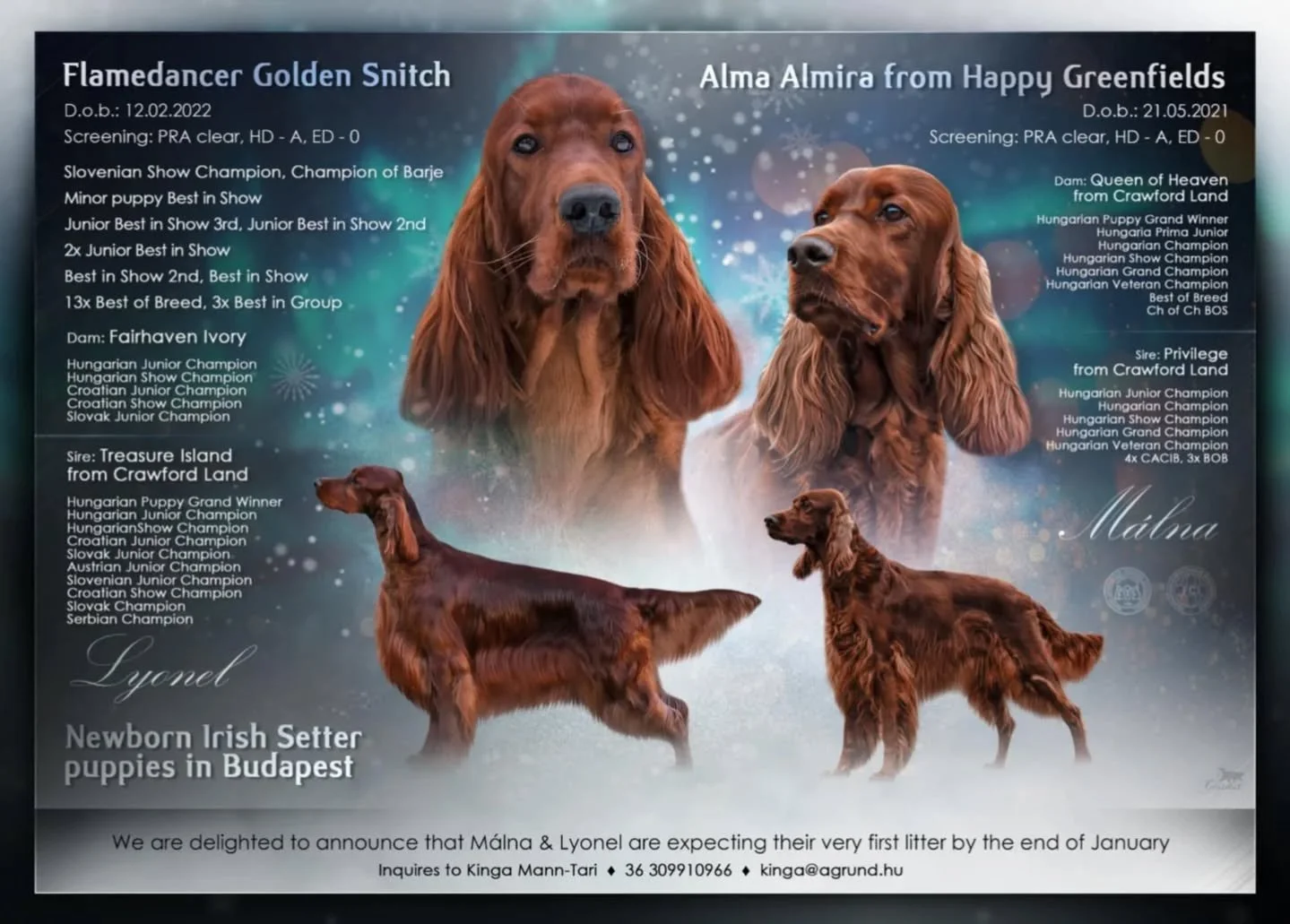 Nem mindennapi esem&eacute;ny.