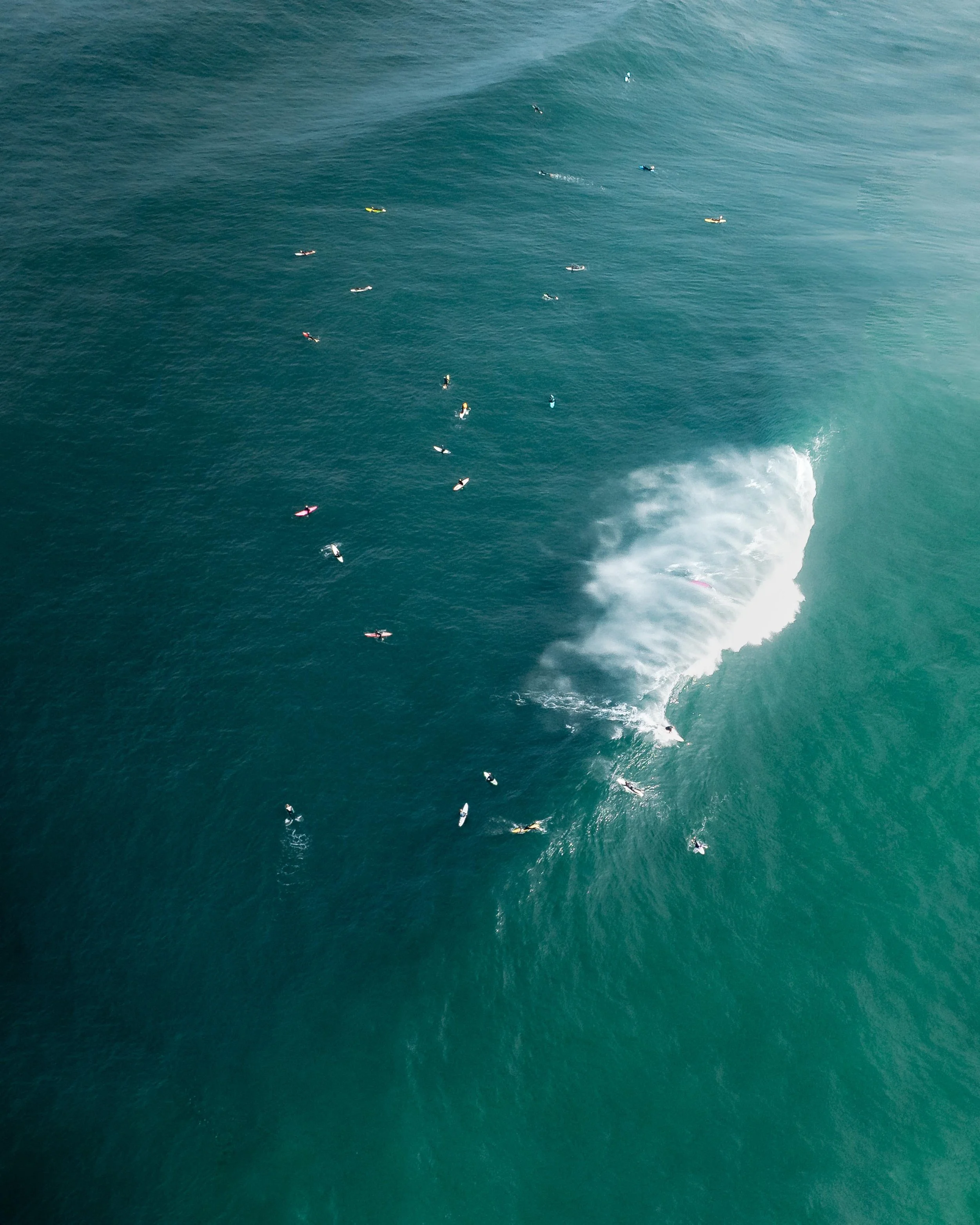 Aerial view of multiple surfers in the ocean, some riding waves and others waiting, with no land in sight.