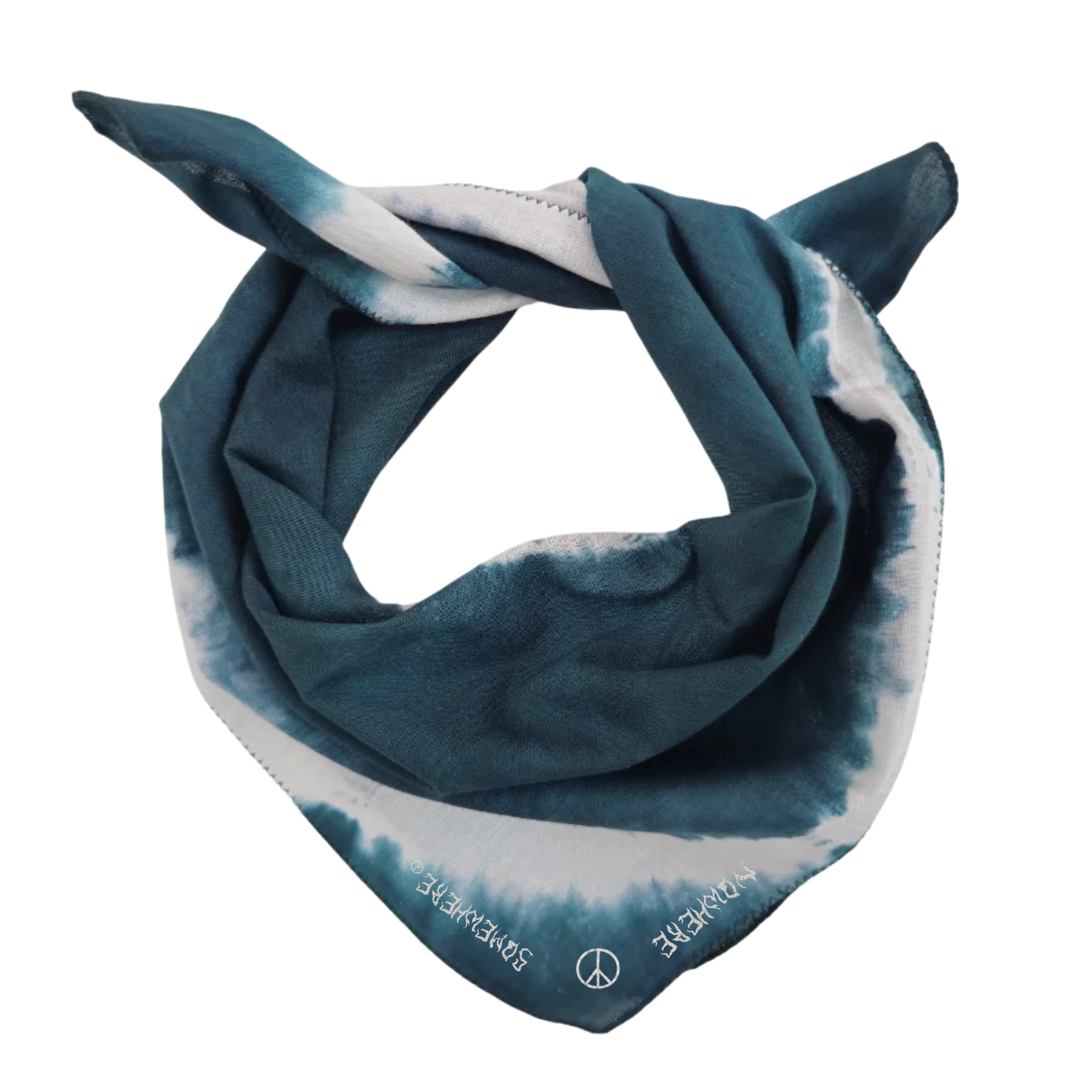 5.png